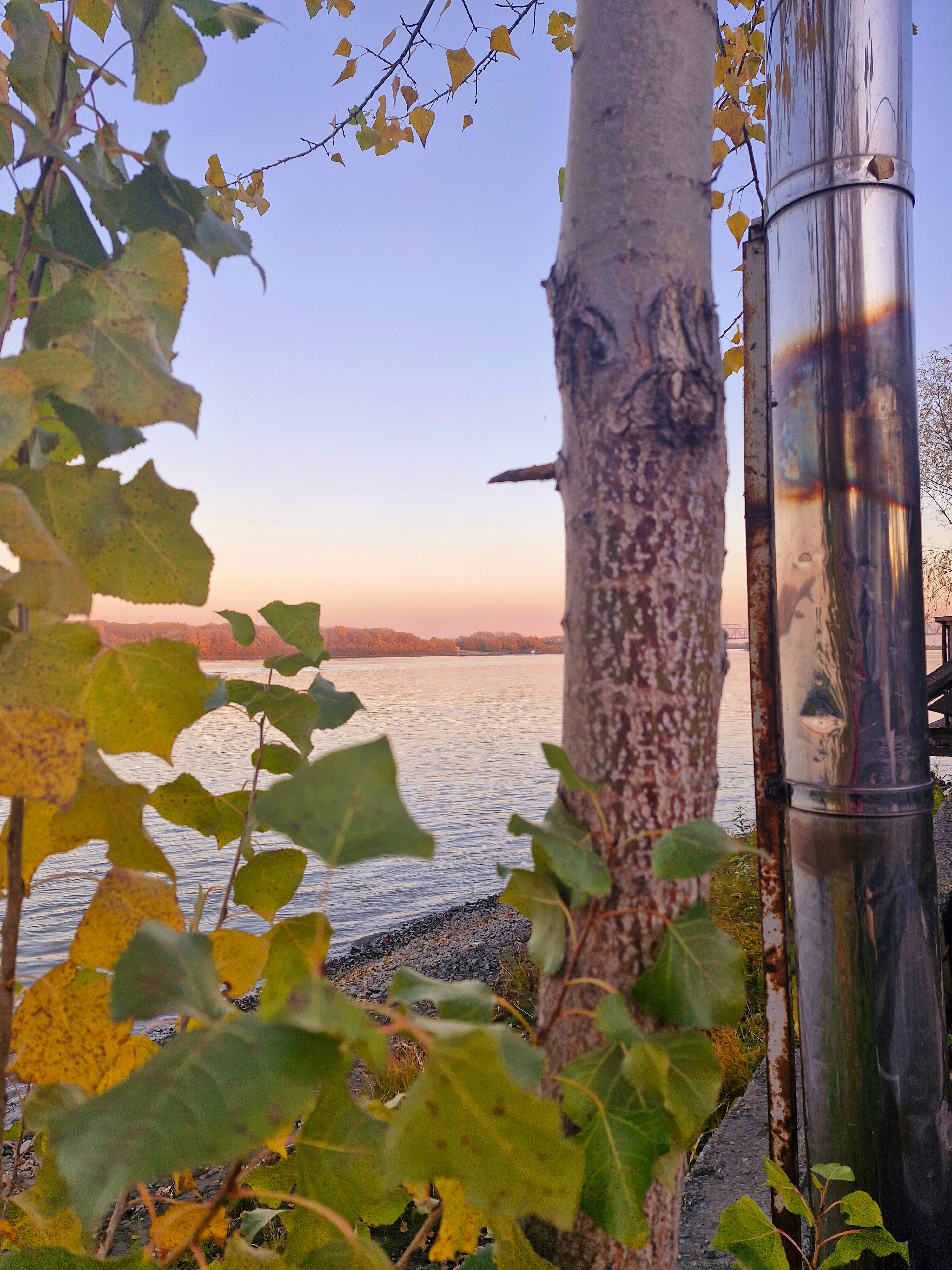 Фото Каменские Плёсы