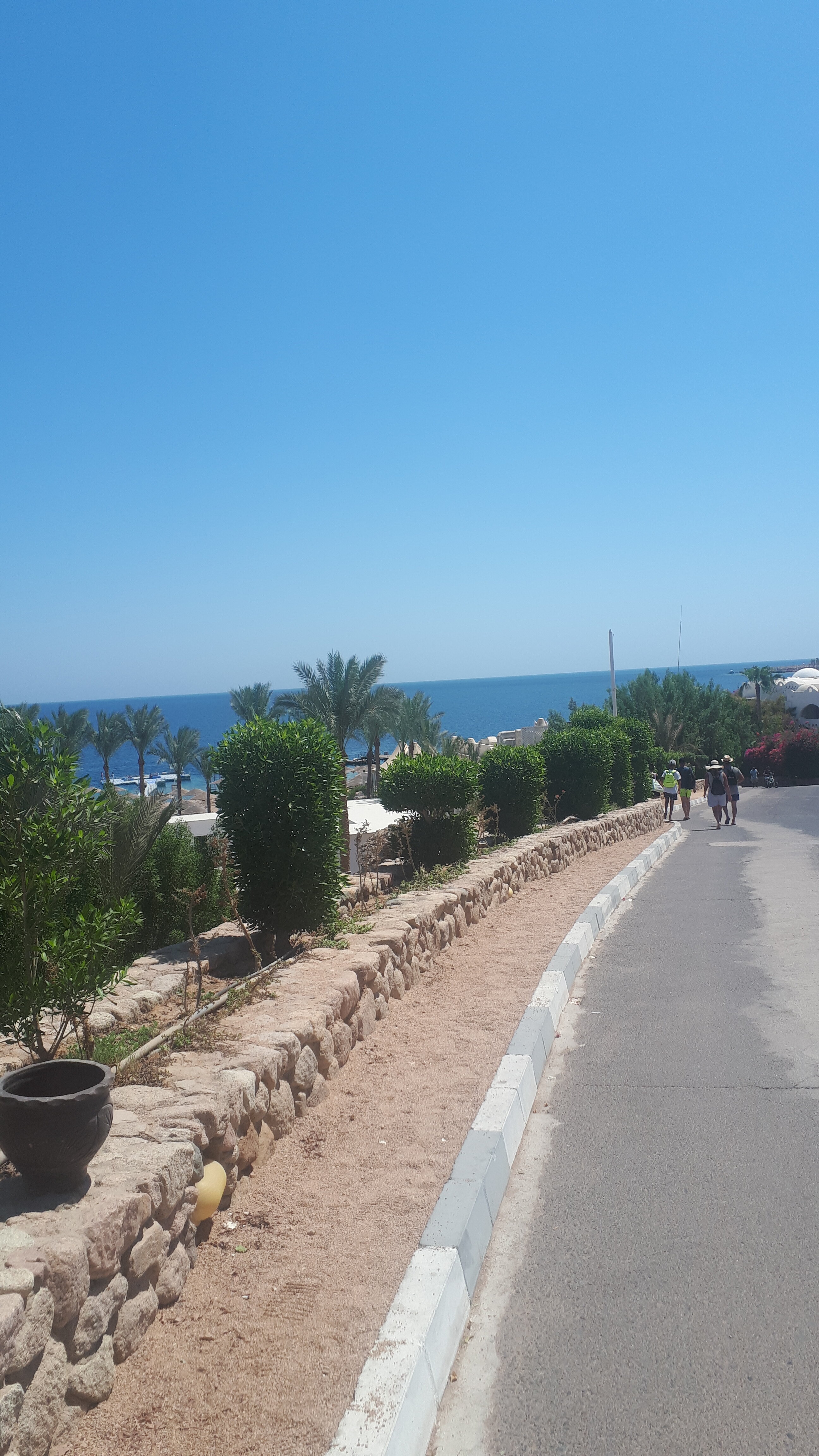 Фото Domina Coral Bay Prestige