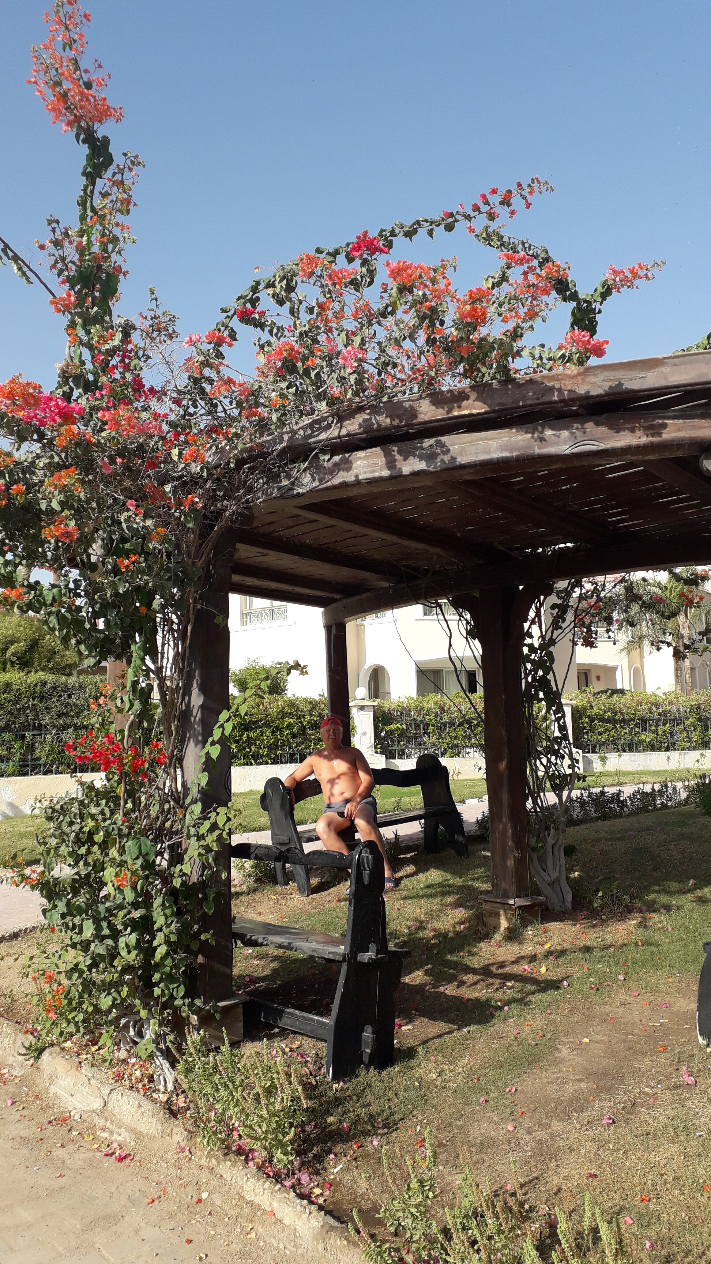 Фото Ivy Cyrene Sharm Resort