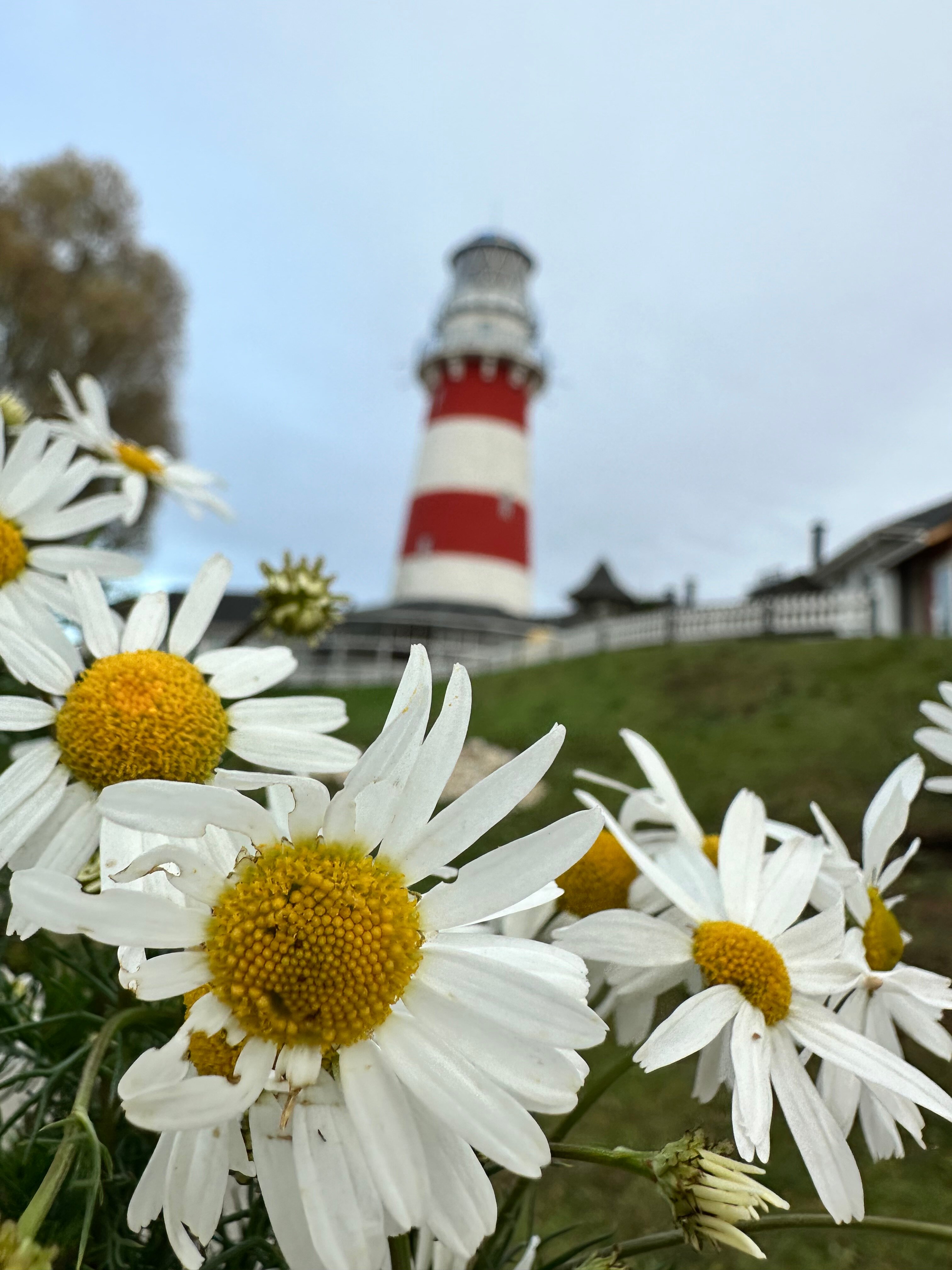 Фото Рыбацкая деревня