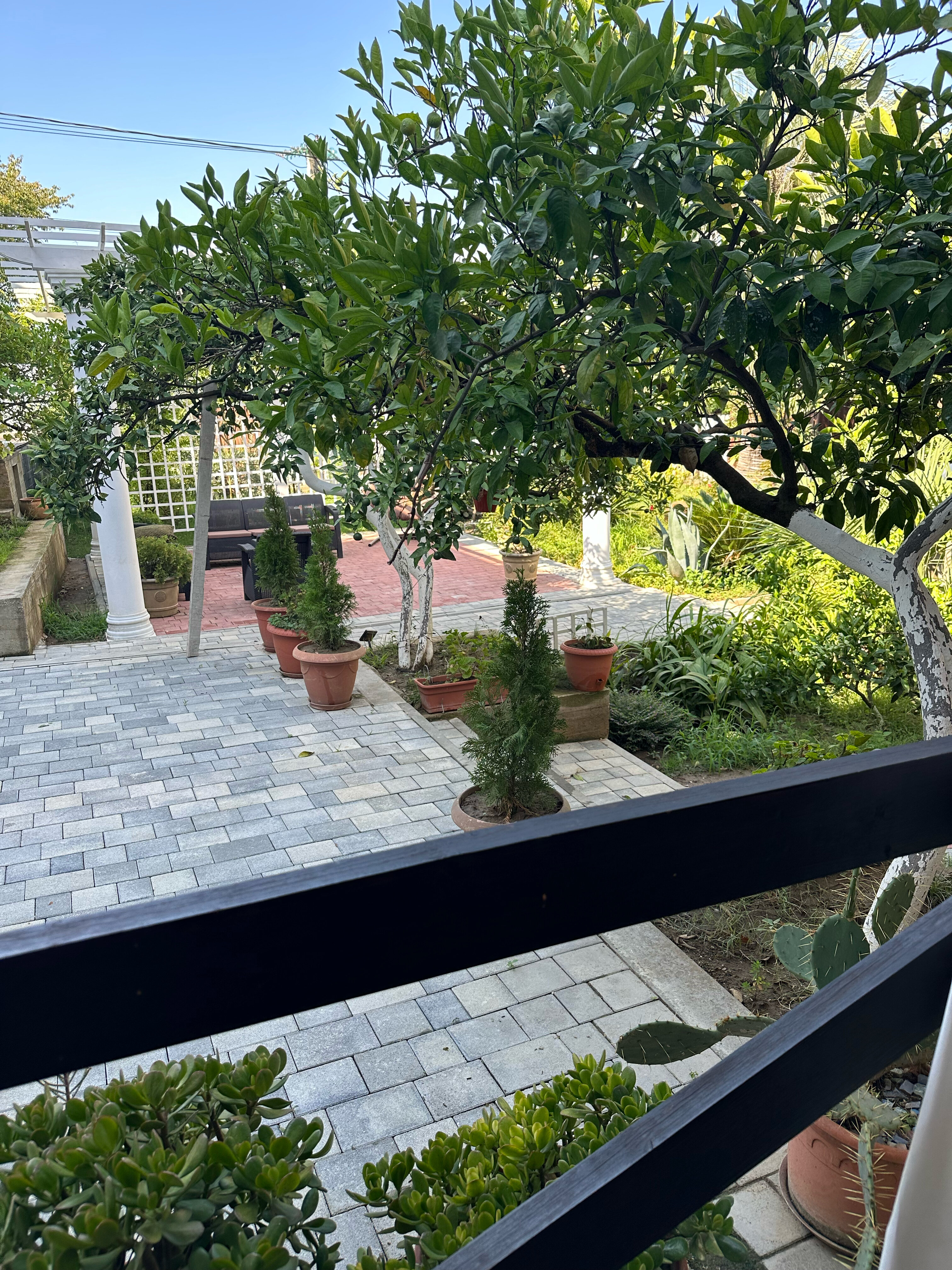 Фото Лермонтов