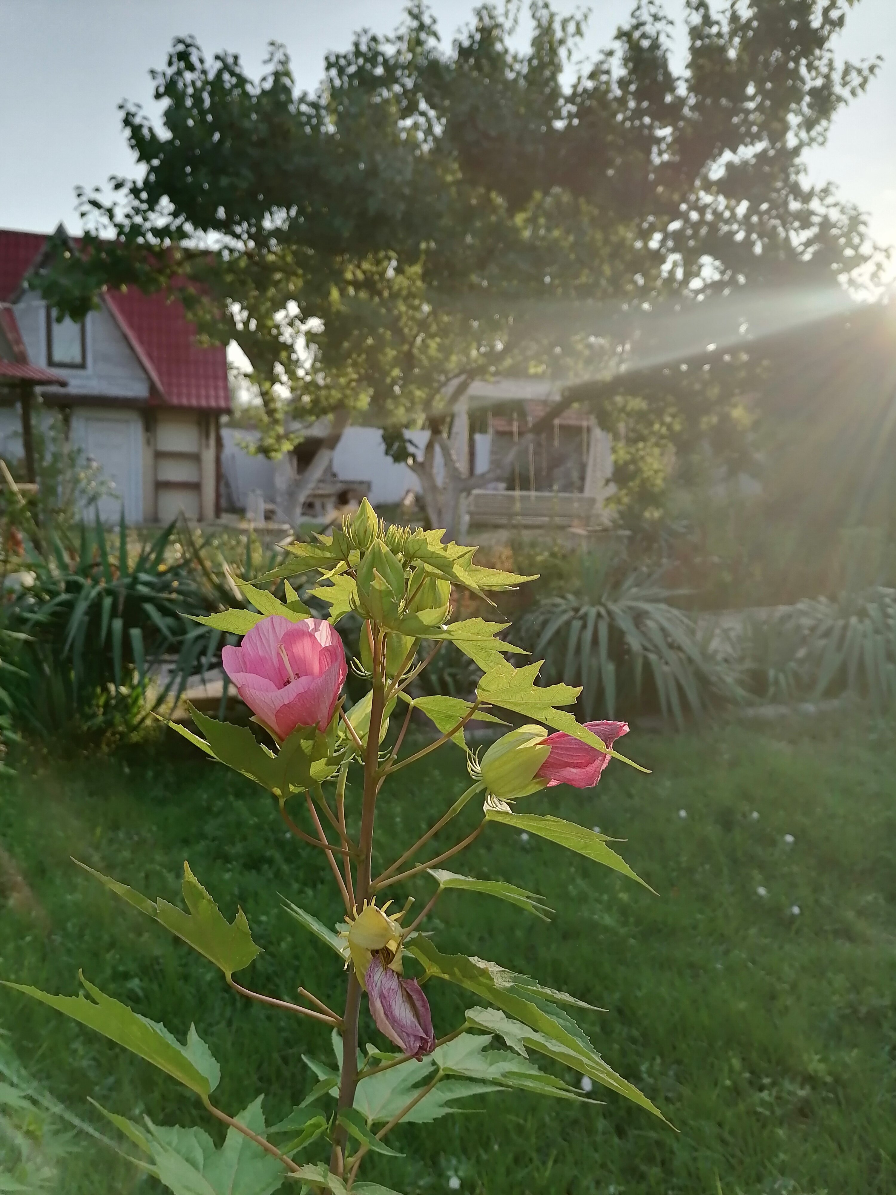 Фото Ройтош