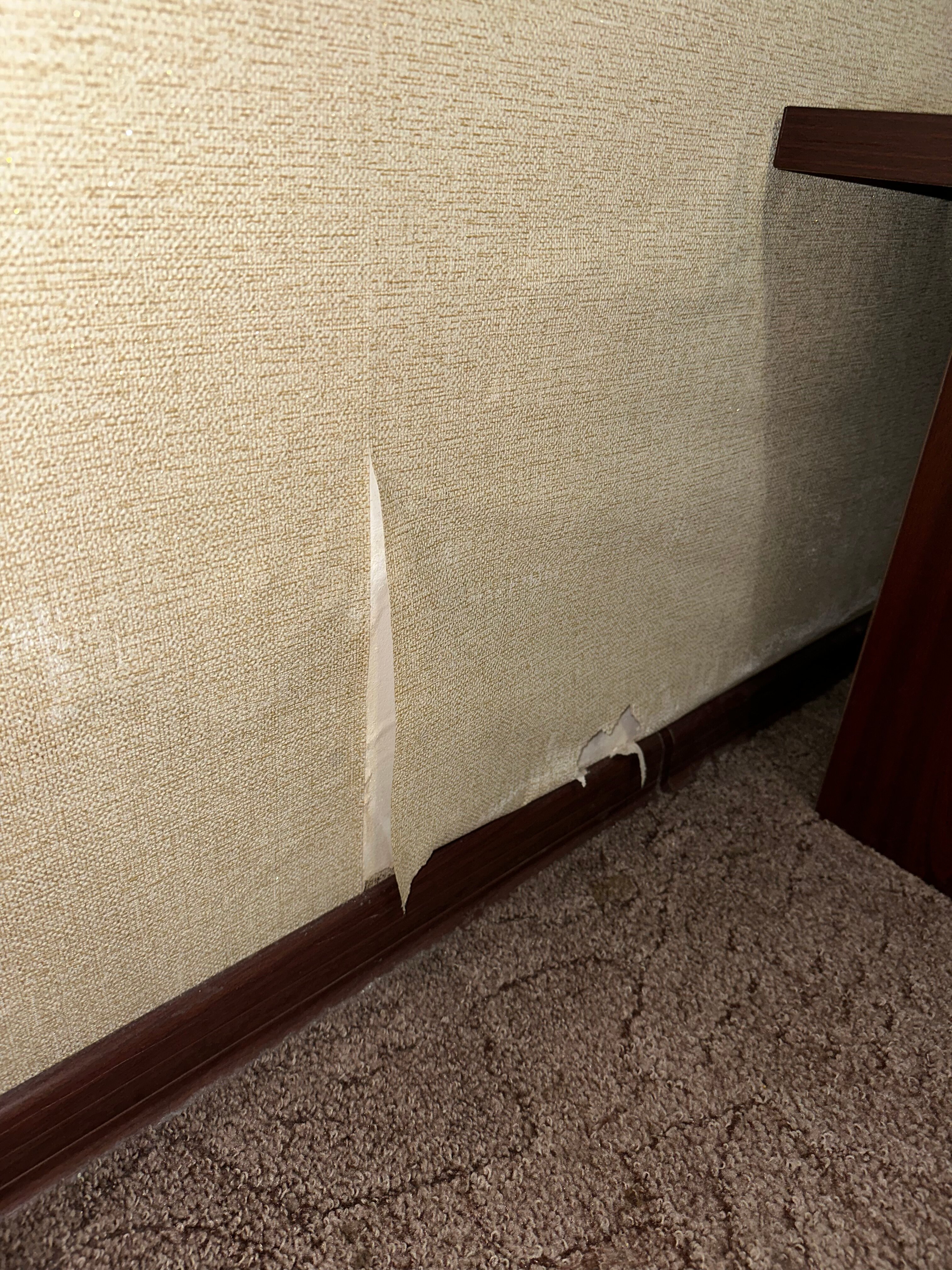 Фото Даймохк