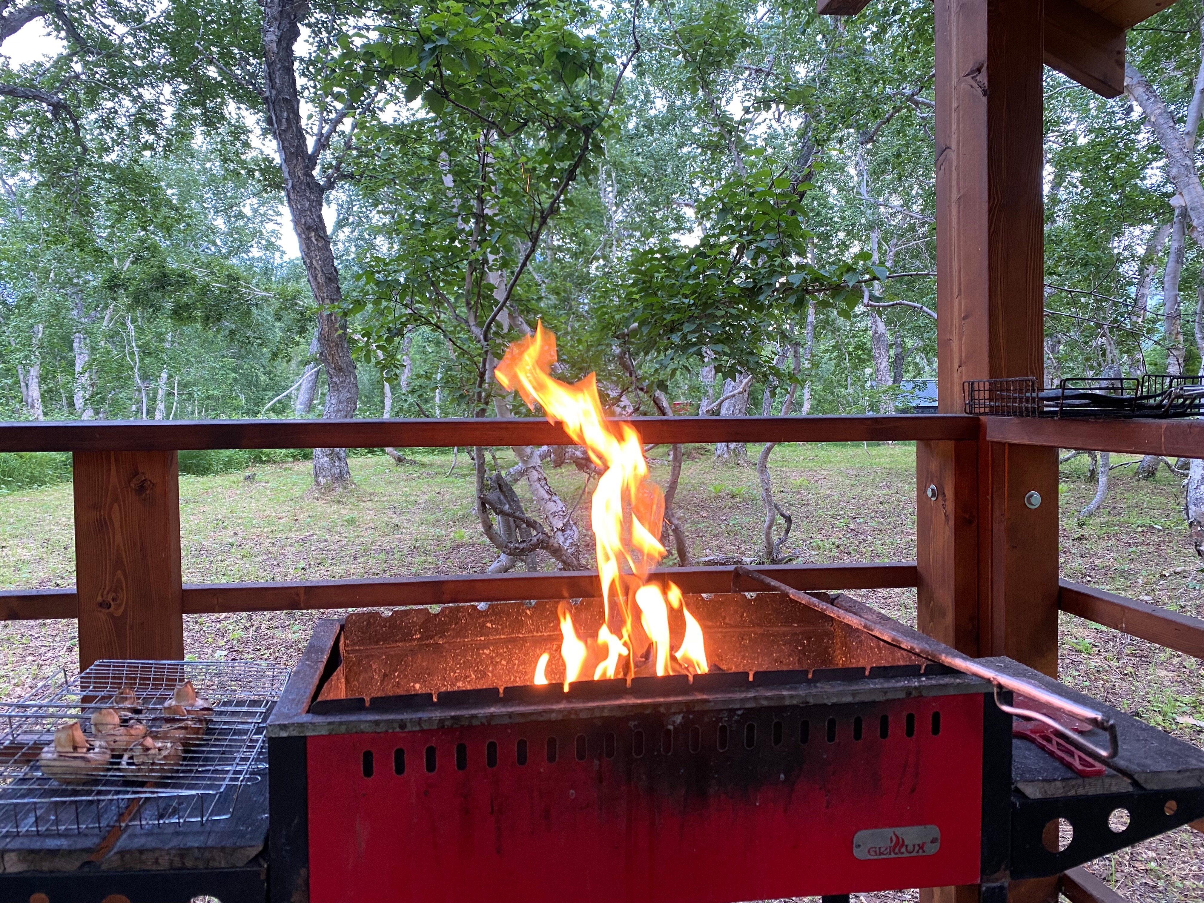 Фото Камчатка Форест Лодж