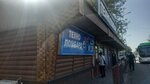 Techno (Askarov Street, 49А) ، متجر الرهونات