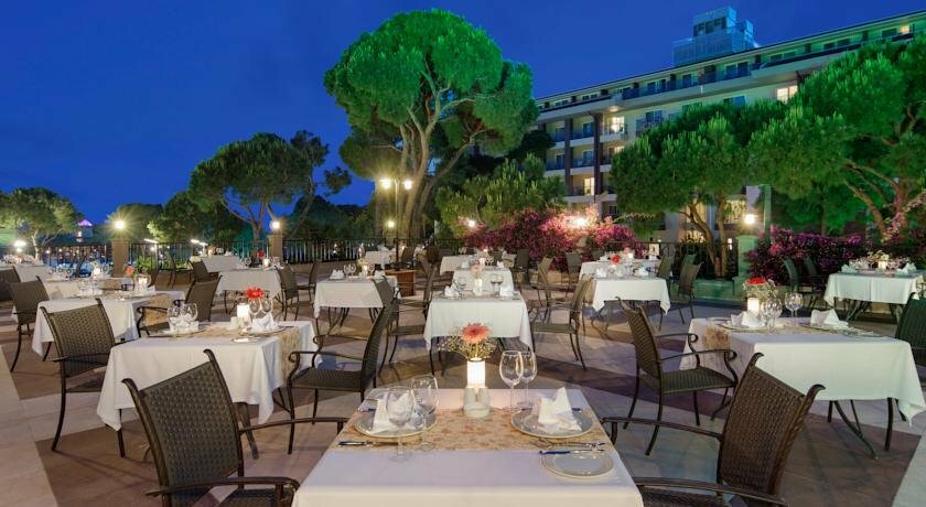 Фото Papillon Ayscha