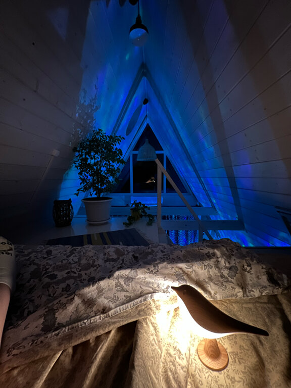 Фото Чик-чирик