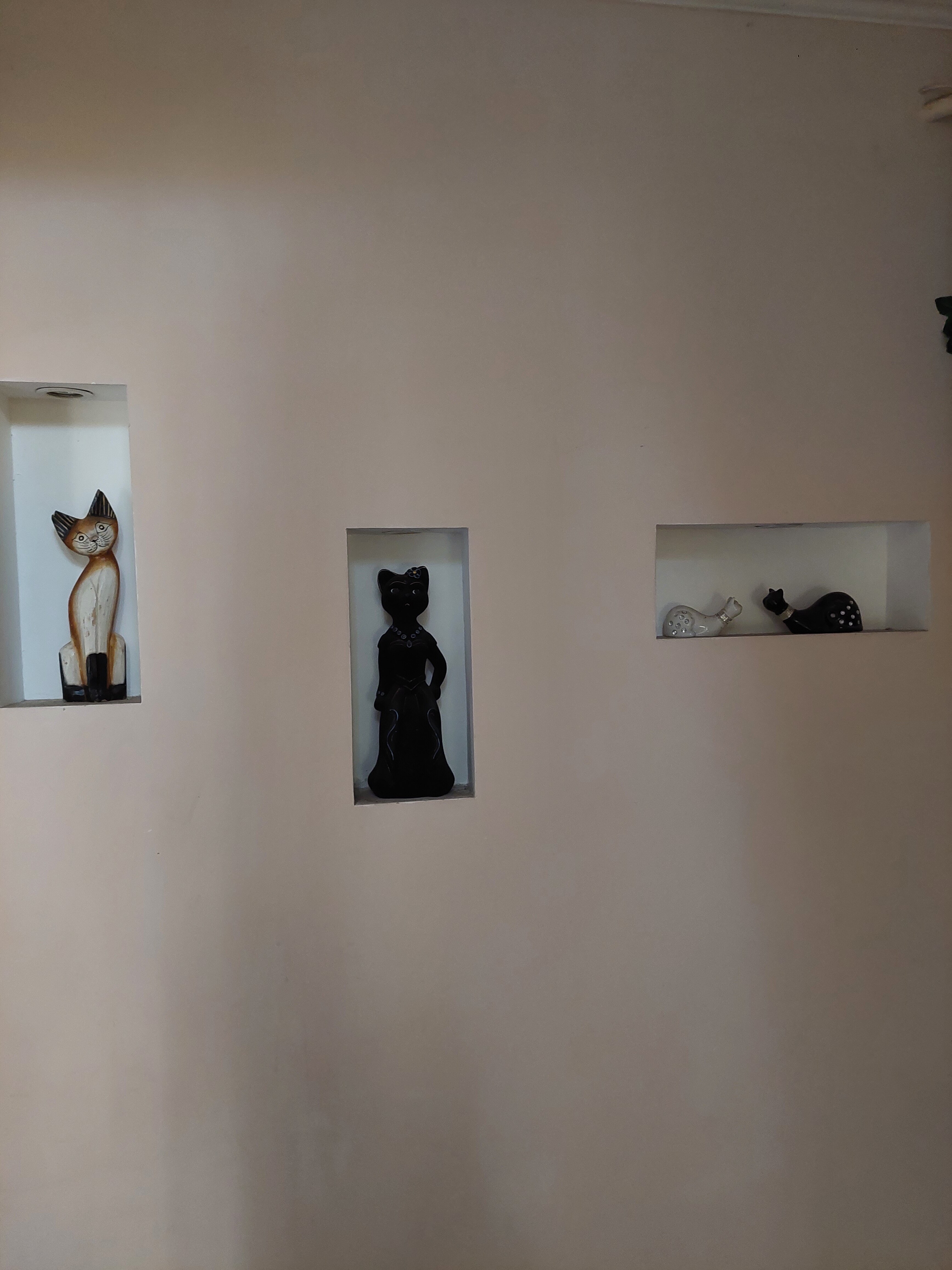 Фото Навигатор