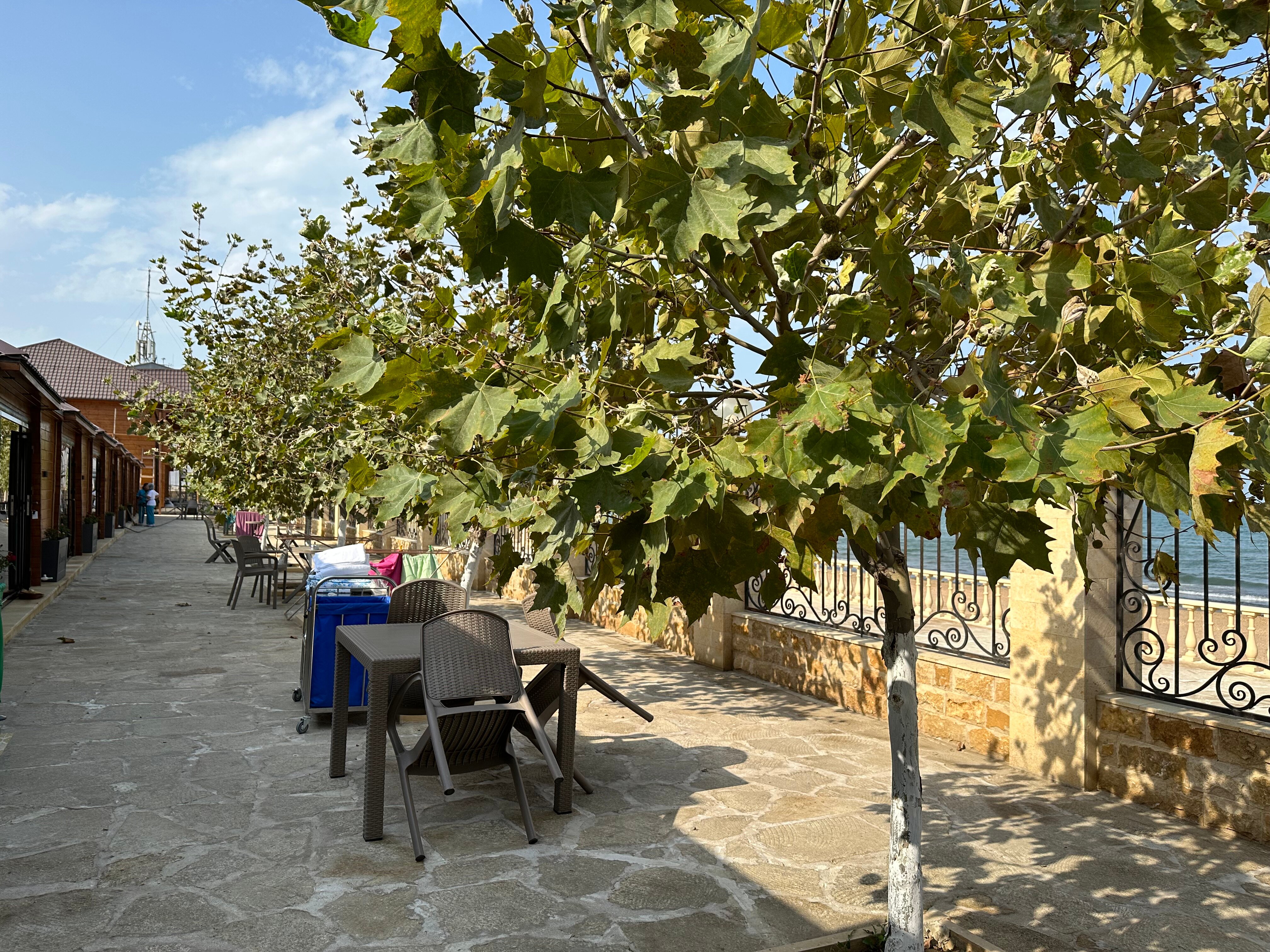 Фото Санитас