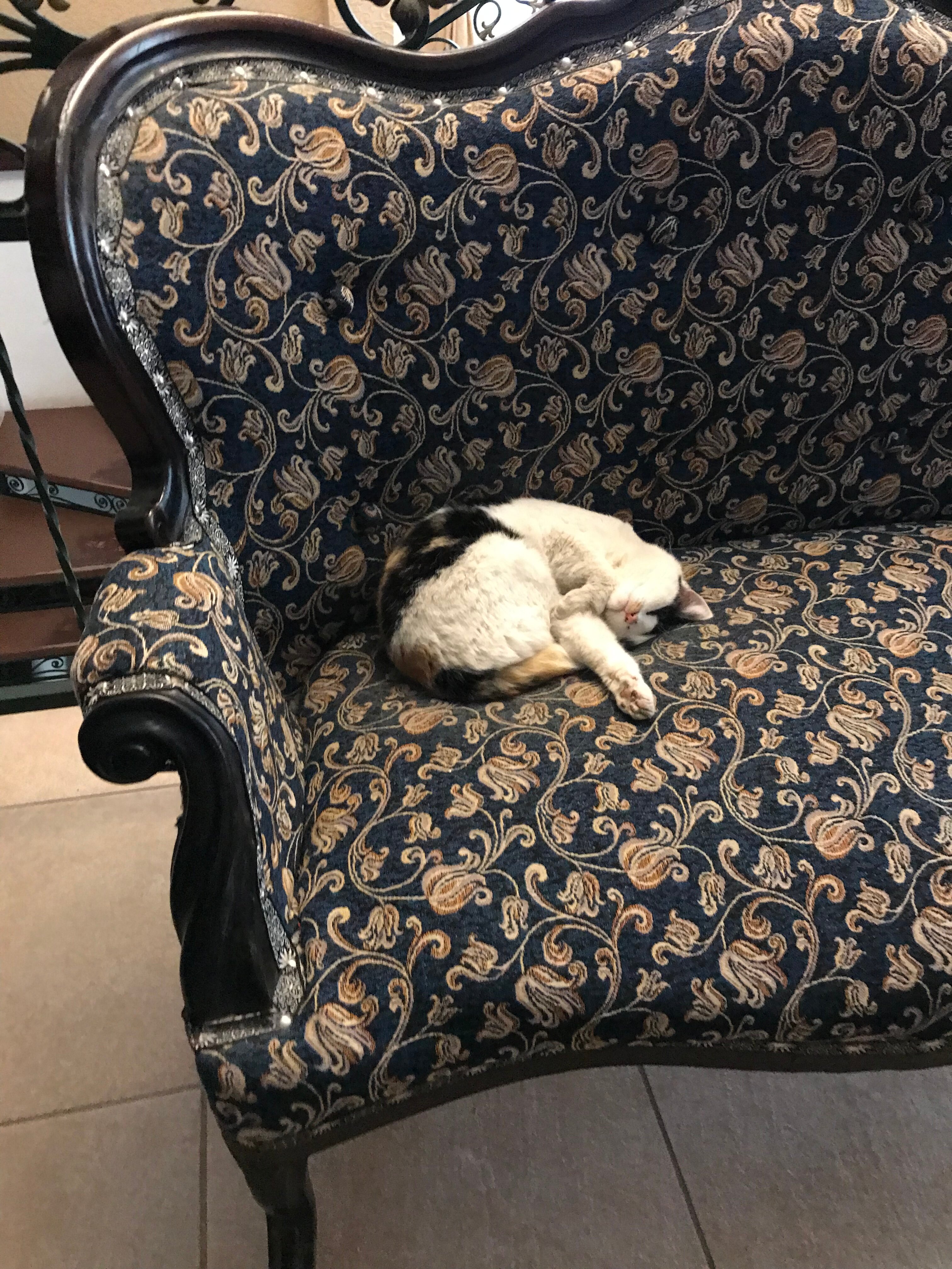 Фото Усадьба Плешанова