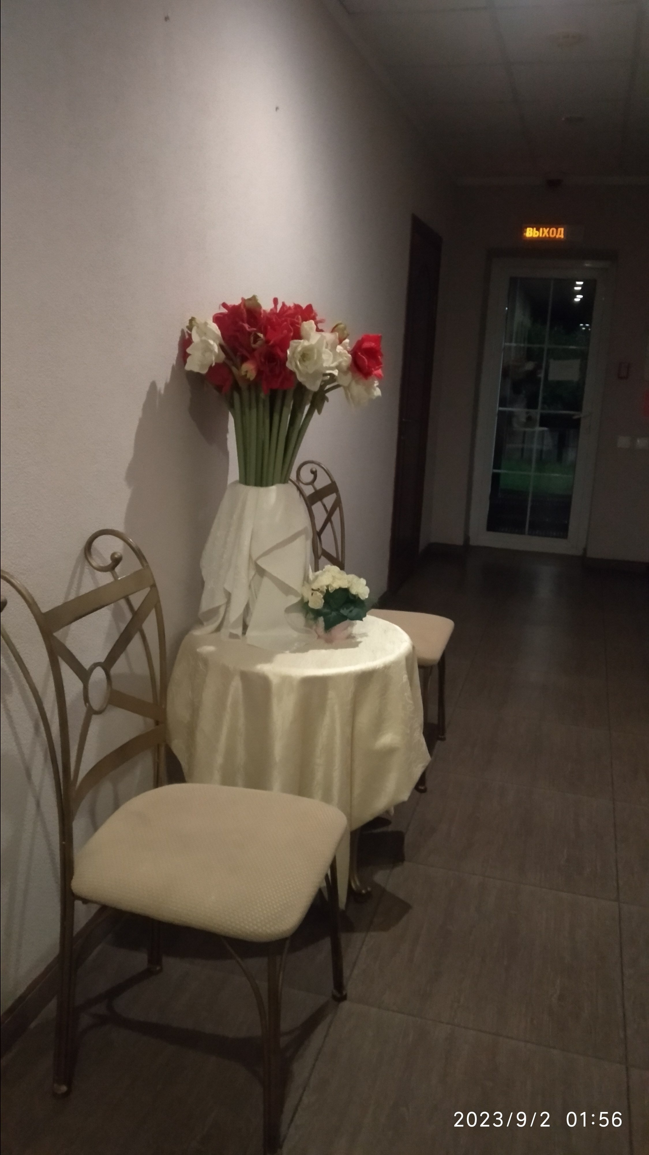 Фото Балтика