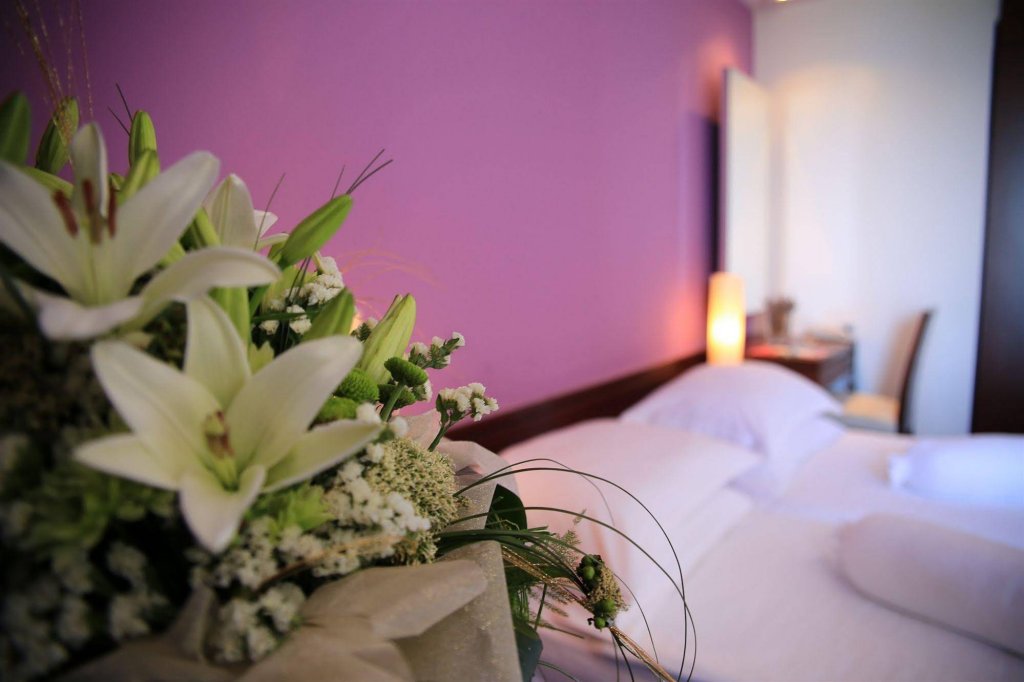 Фото Hotel Adriatic