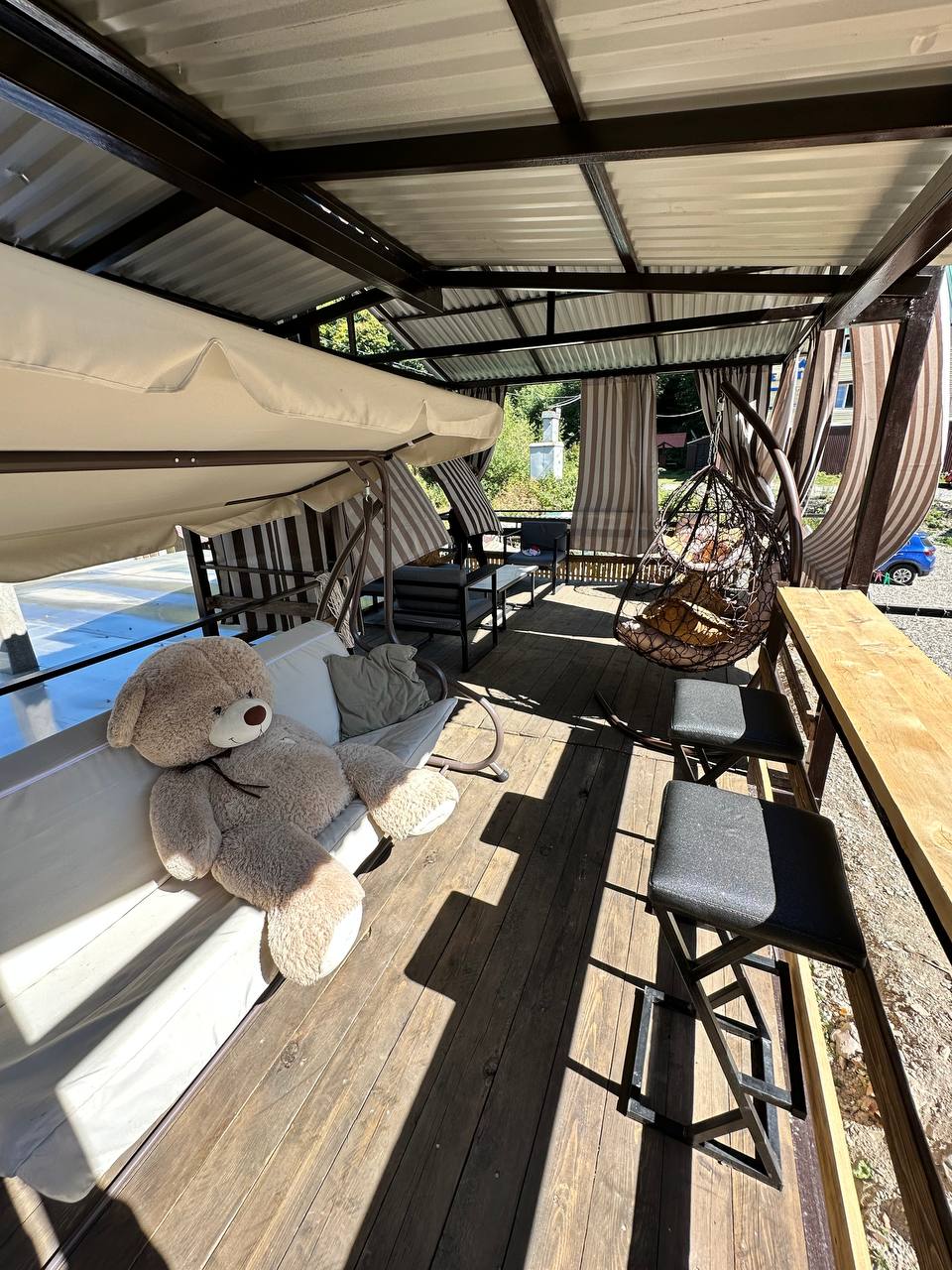 Фото Шафран