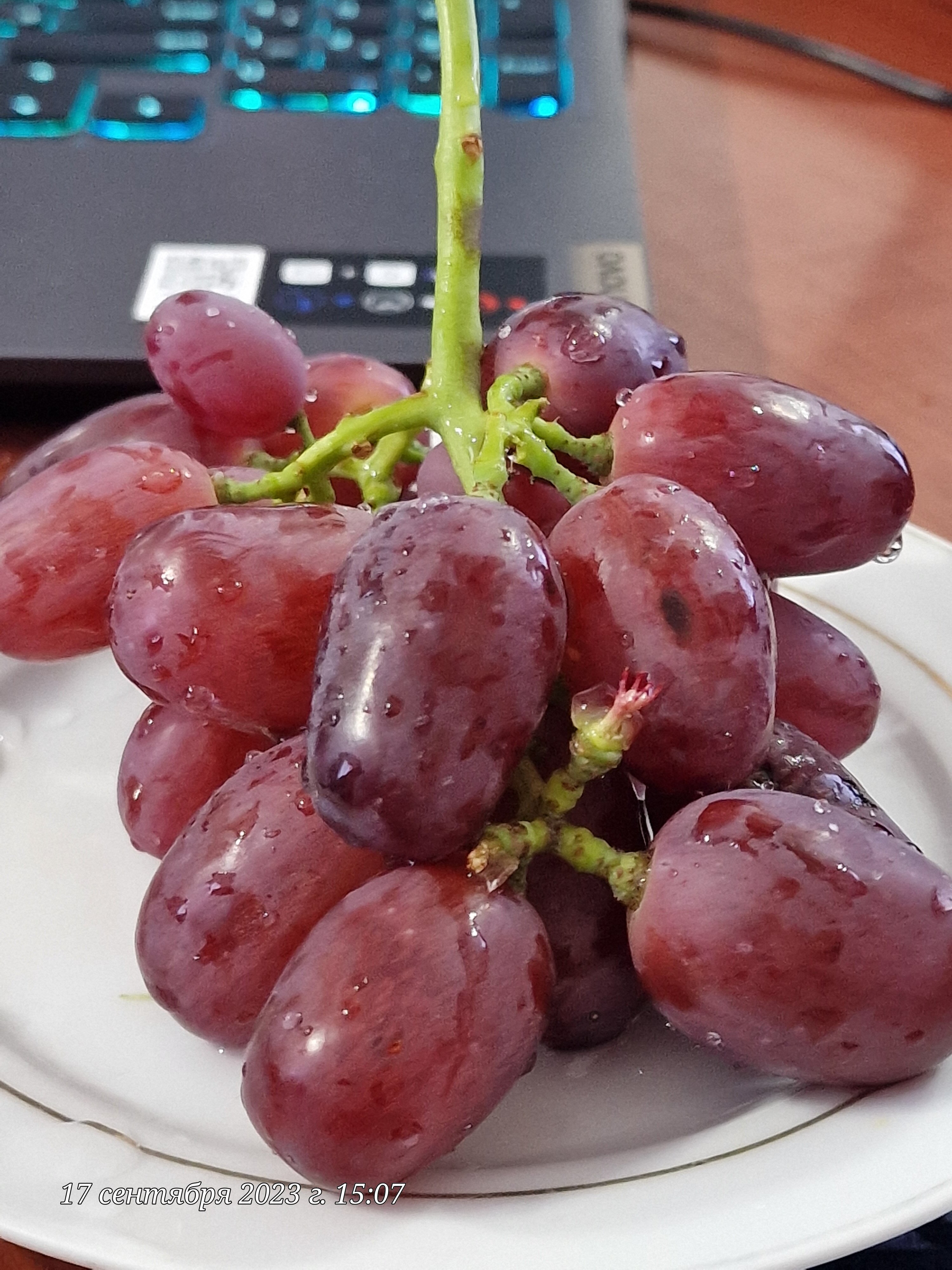 Фото Навруз