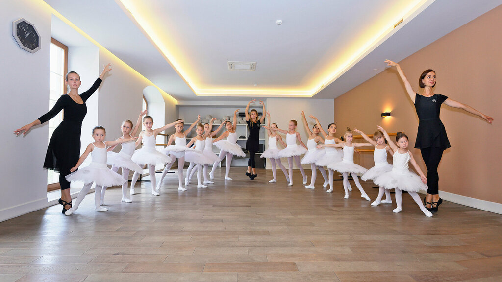 Dance school Мастерская балета Егора Симачева, Moscow, photo