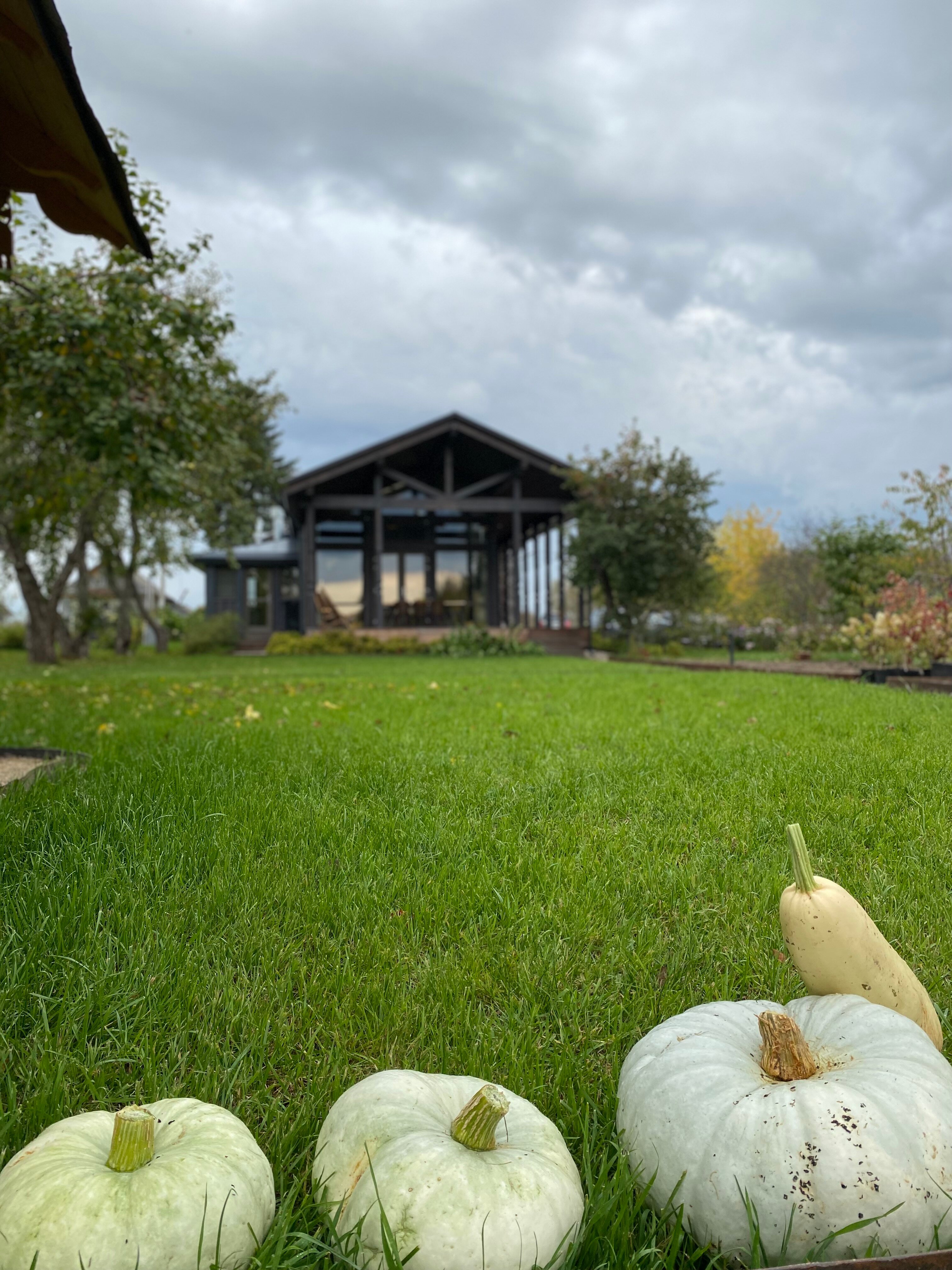 Фото Изба де Шарм