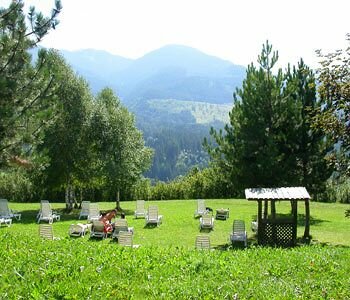 Фото Residence Aparthotel Des Alpes