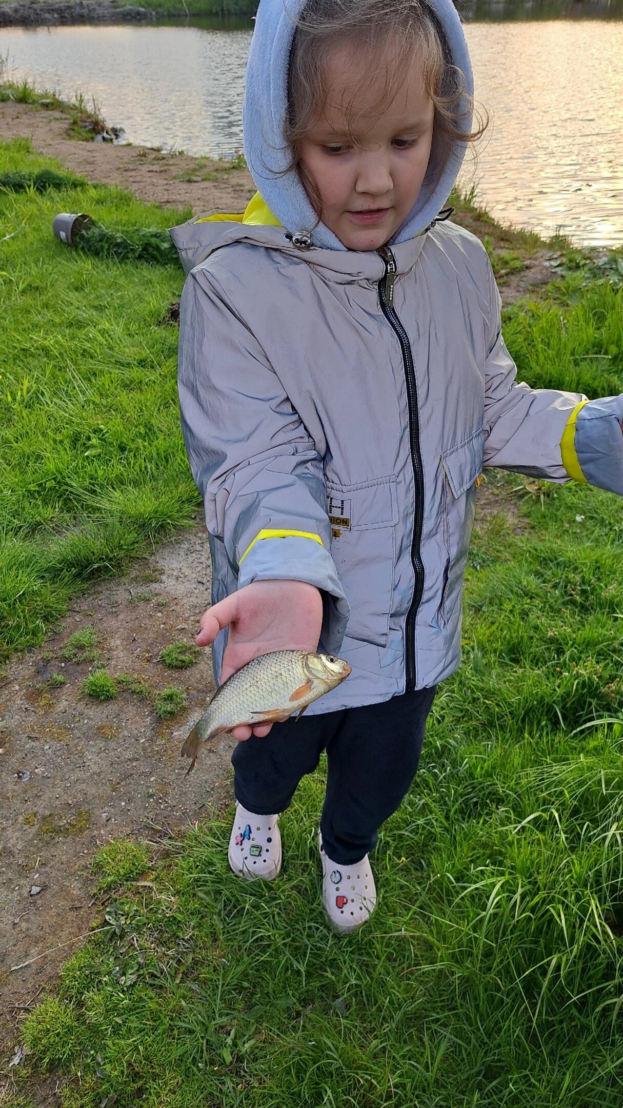 Фото Ромашковая