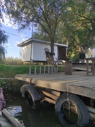 Пиранья Дельта — фото 5