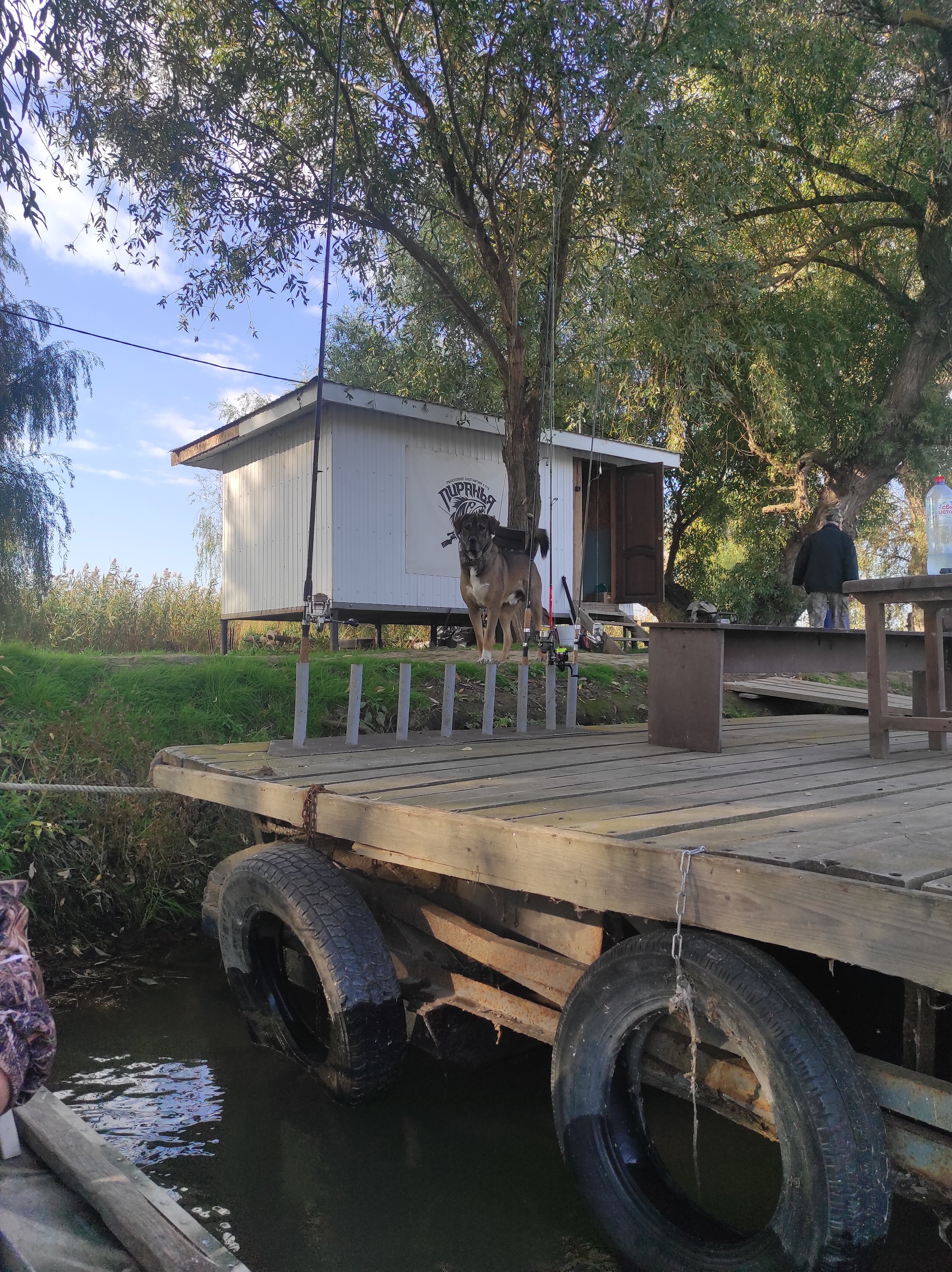 Фото Пиранья Дельта