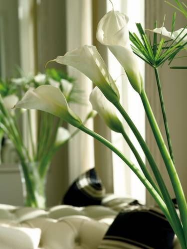 Фото Hotel Villa Paulita