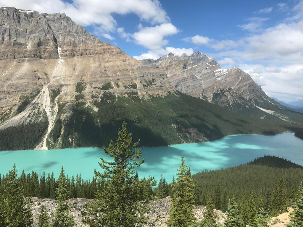 Фото Whistlers Inn Hotel