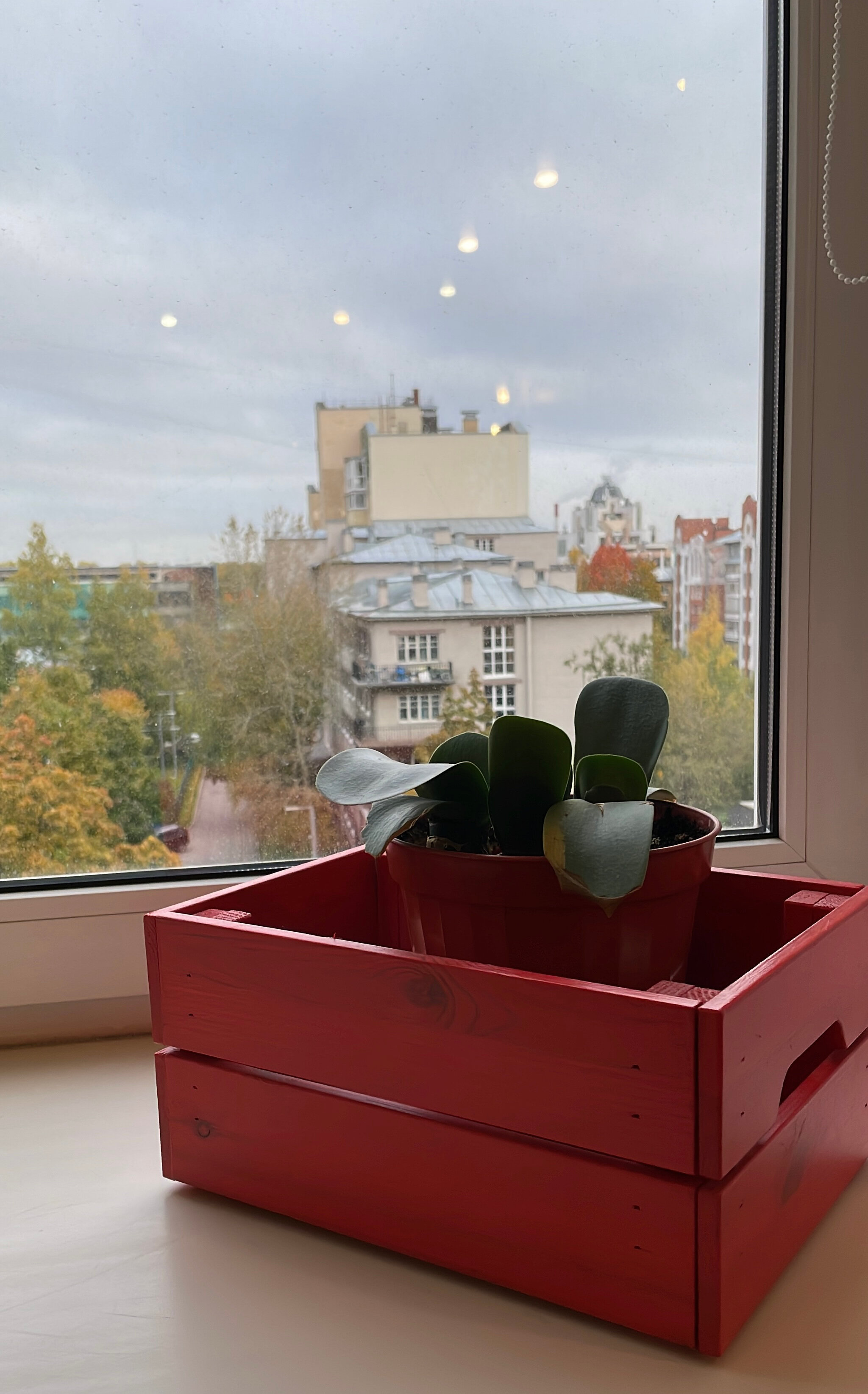 Фото Орбита