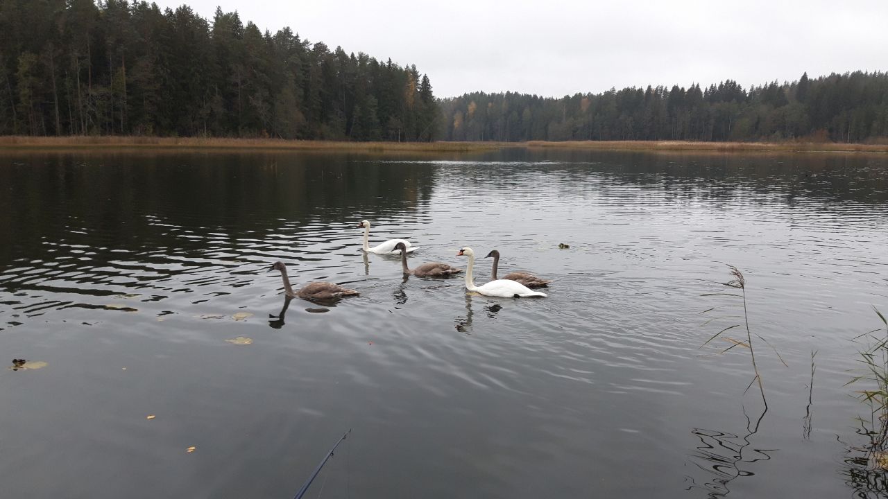 Фото Сахалин