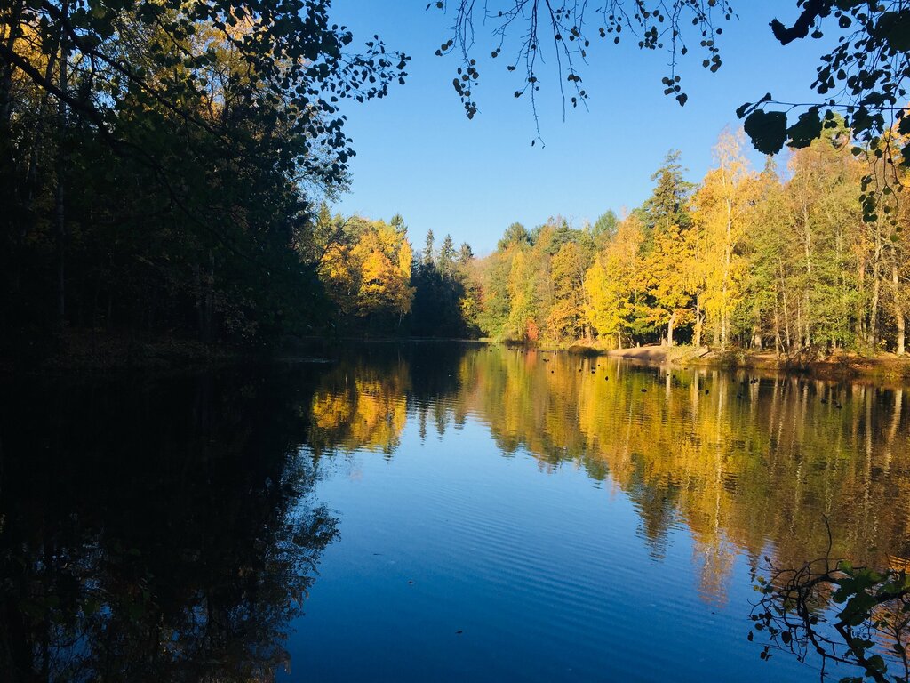 Nature reserve Sergievka Park, Peterhof, photo