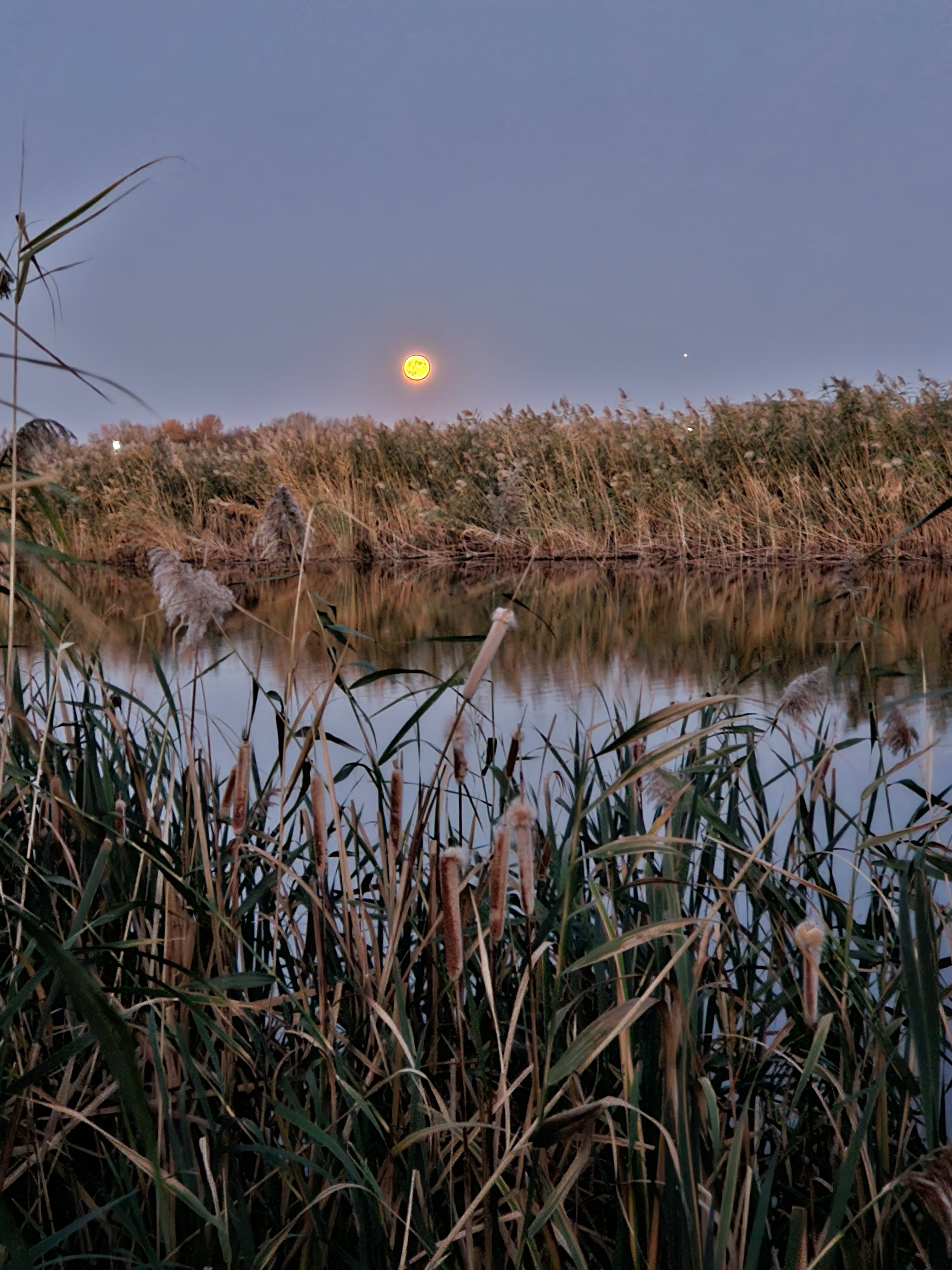 Фото Кубанский хуторок