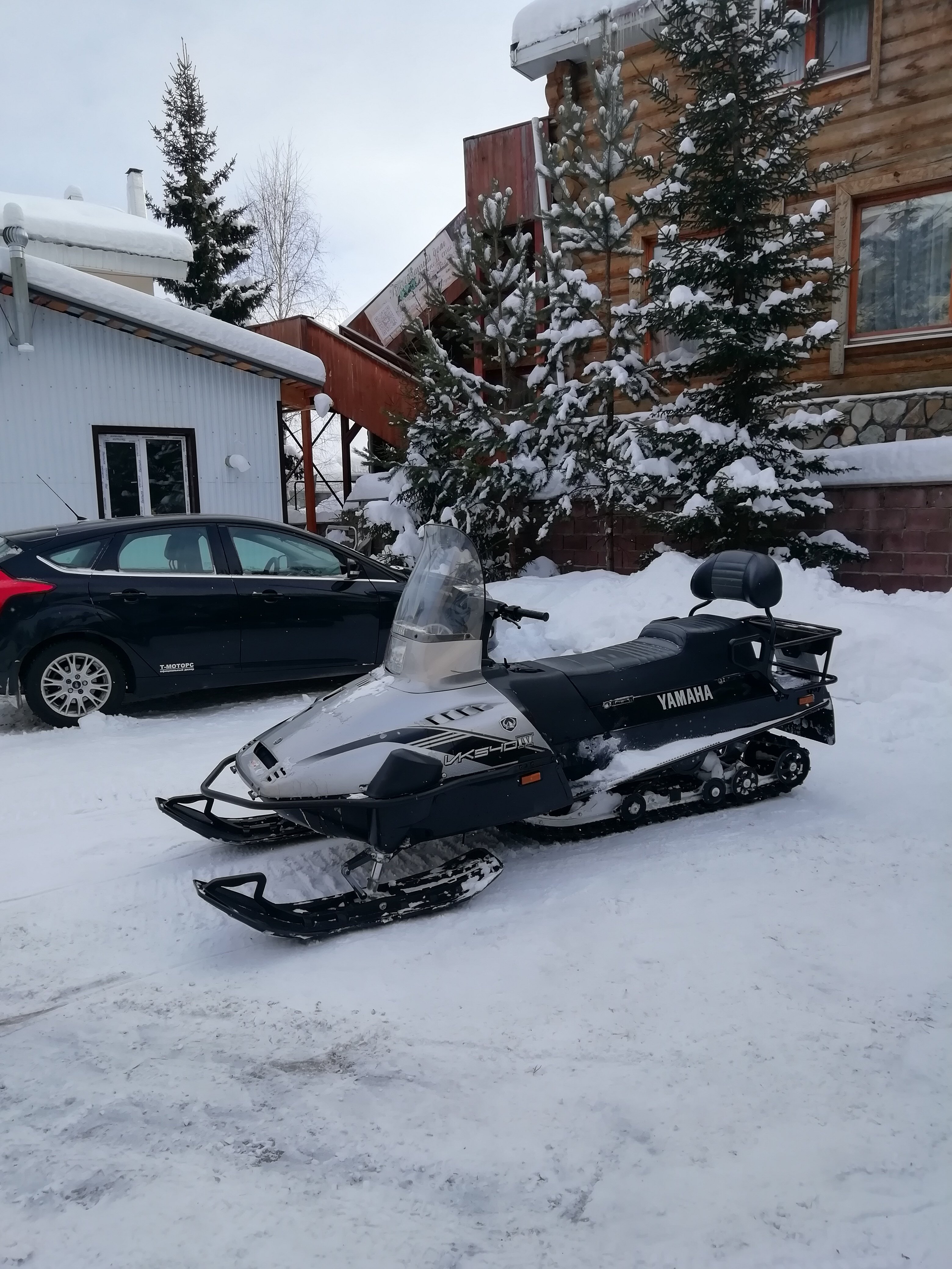 Фото Эдельвейс