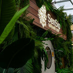 SenSip (Stoleshnikov Lane, 6с5) ، منتجعات