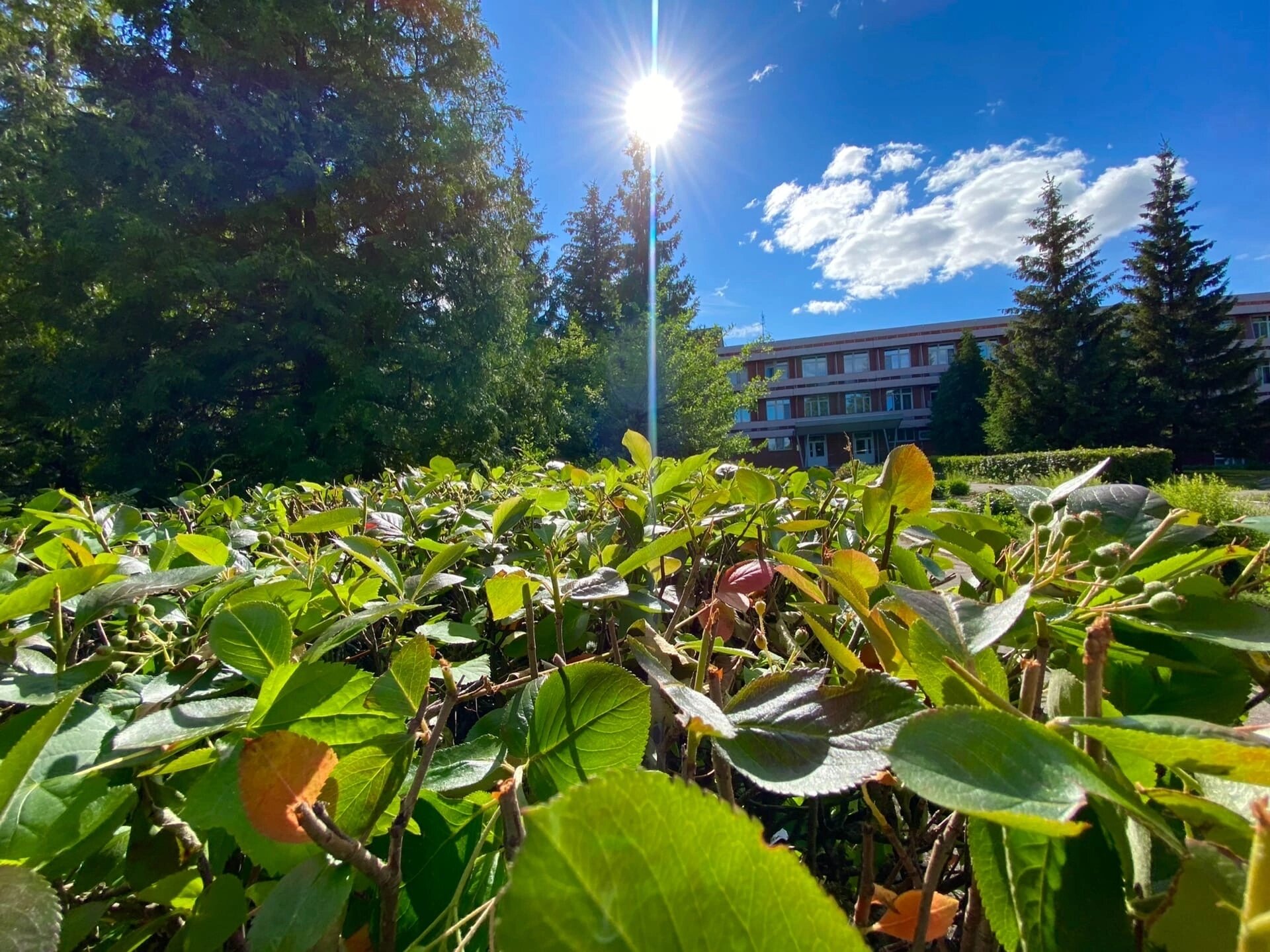 Фото Надежда