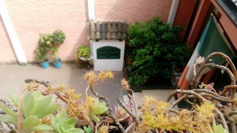 Фото Hotel Greco