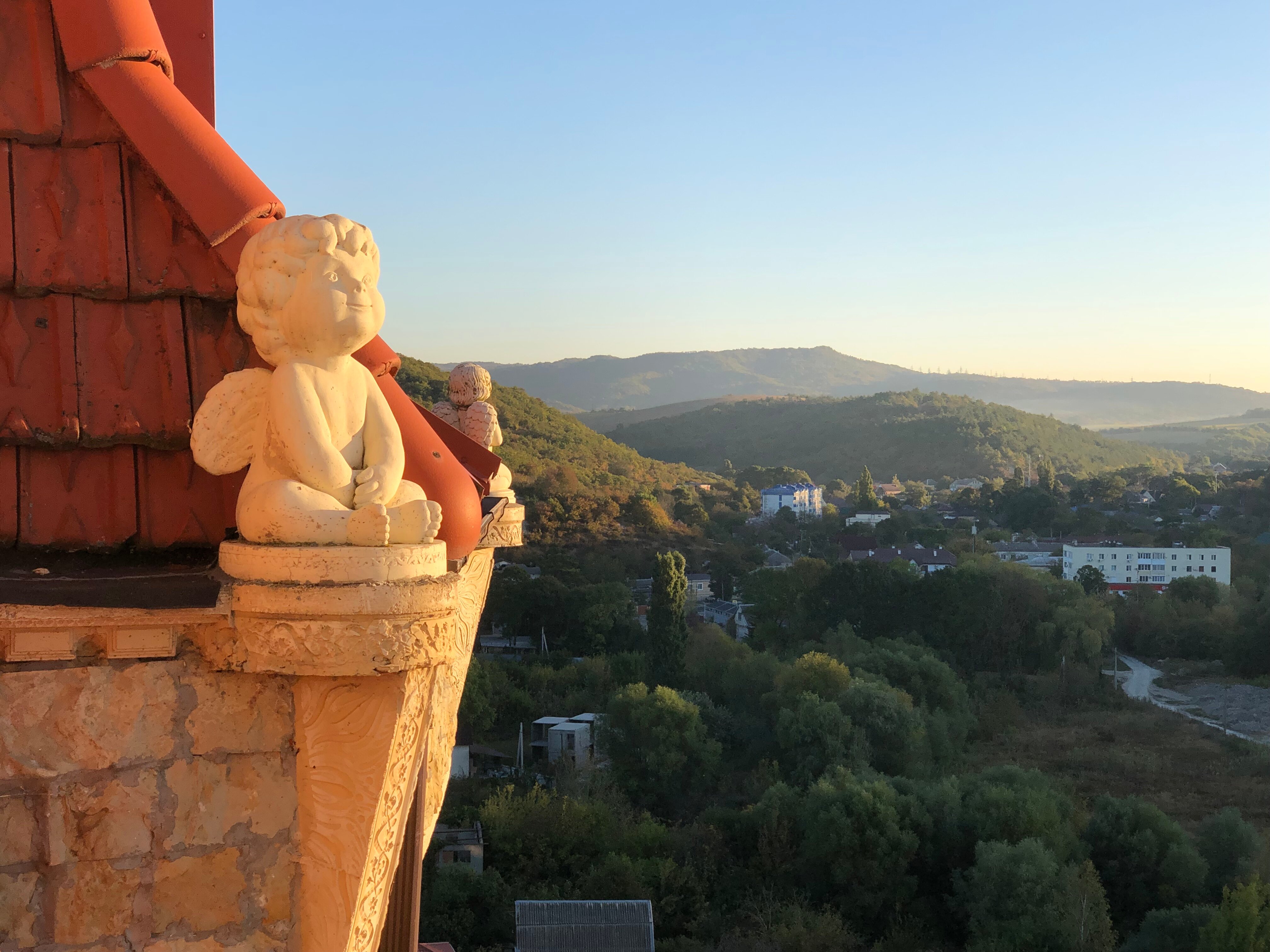 Фото Крылья