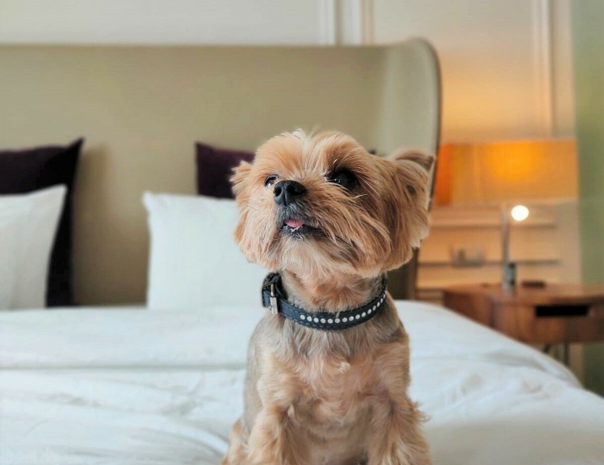 Фото Crown Hotel Санкт-Петербург