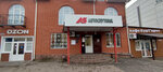 Автоспутник (Матросовская ул., 66Б, Борисоглебск), магазин автозапчастей и автотоваров в Борисоглебске