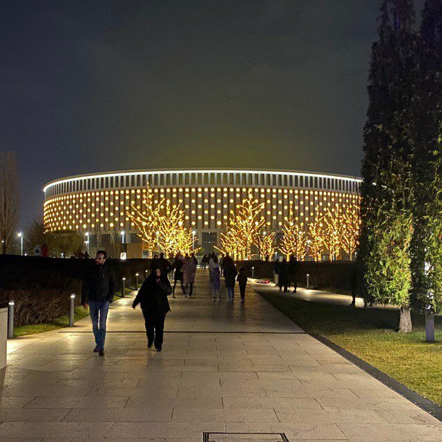 Фото Ласточка