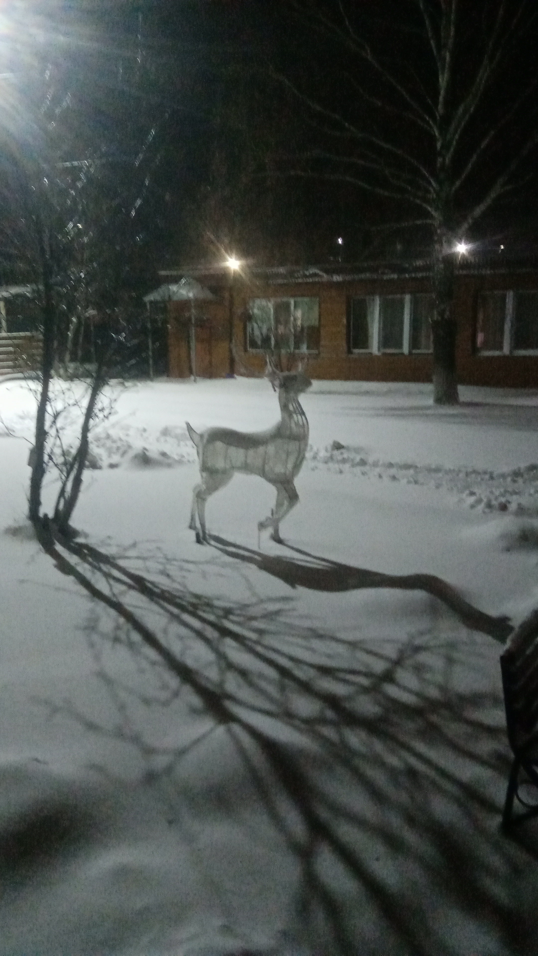 Фото Польский городок