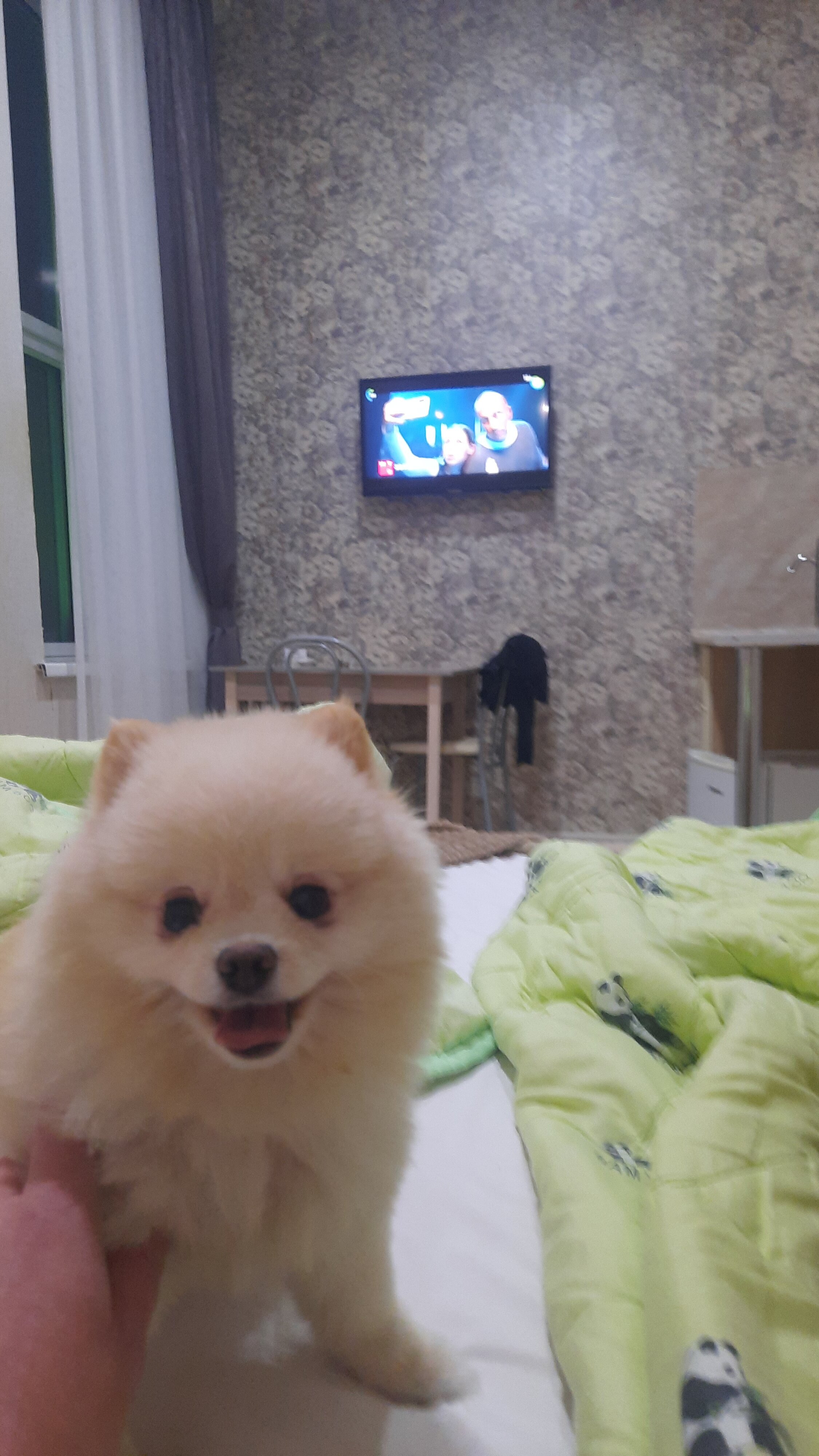 Фото Small Hotel