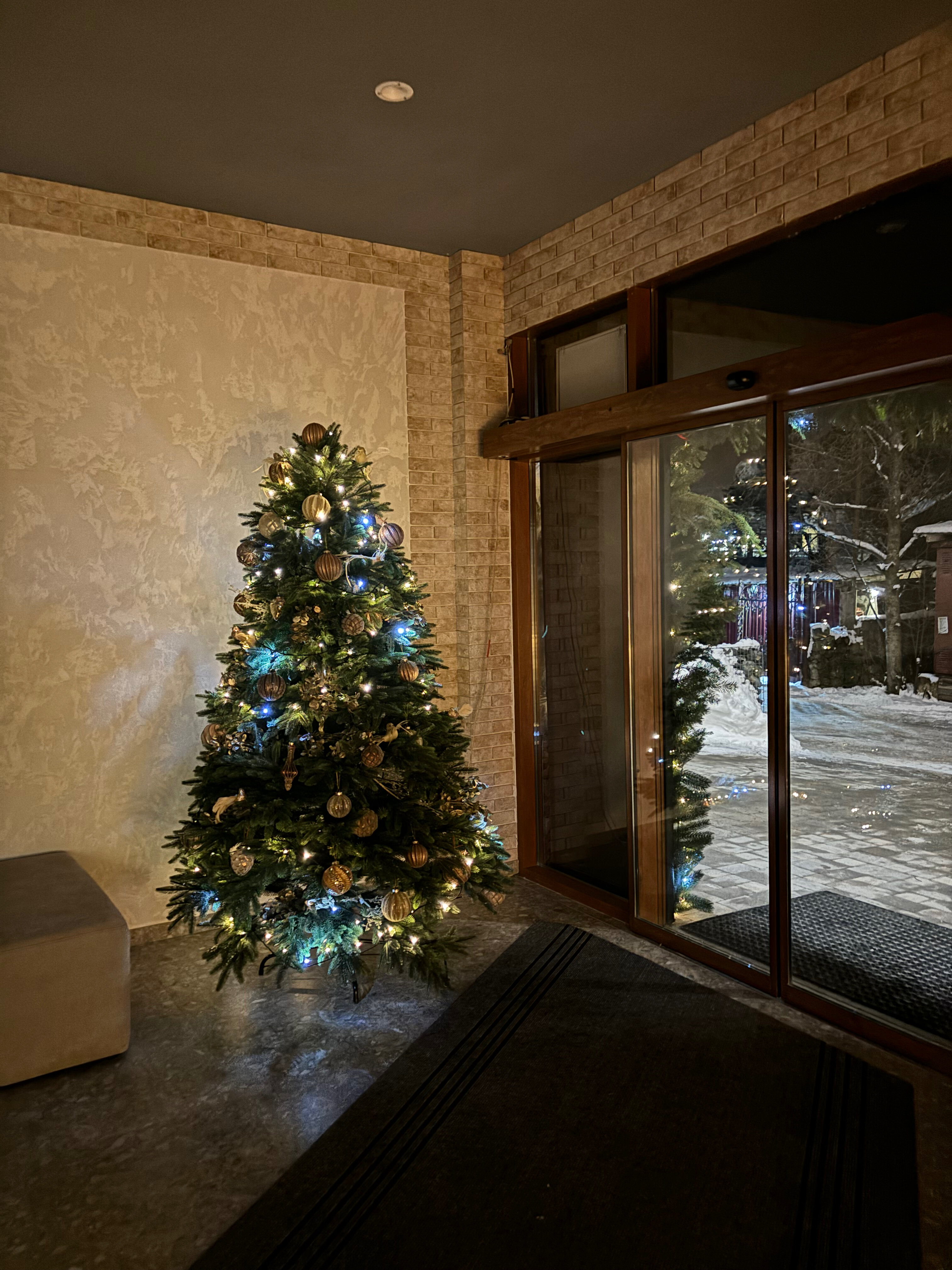 Фото Альпийский