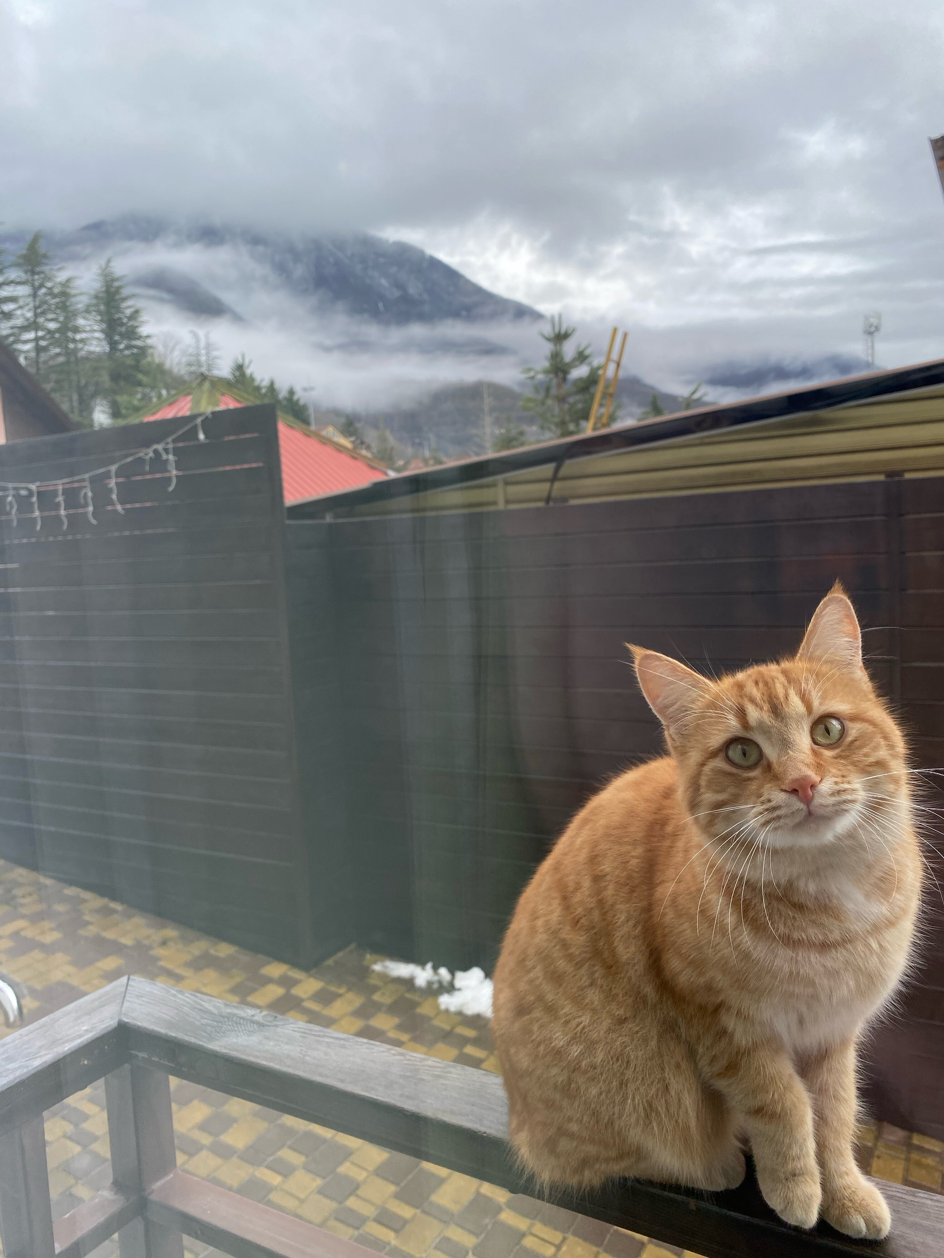 Фото Горизонт