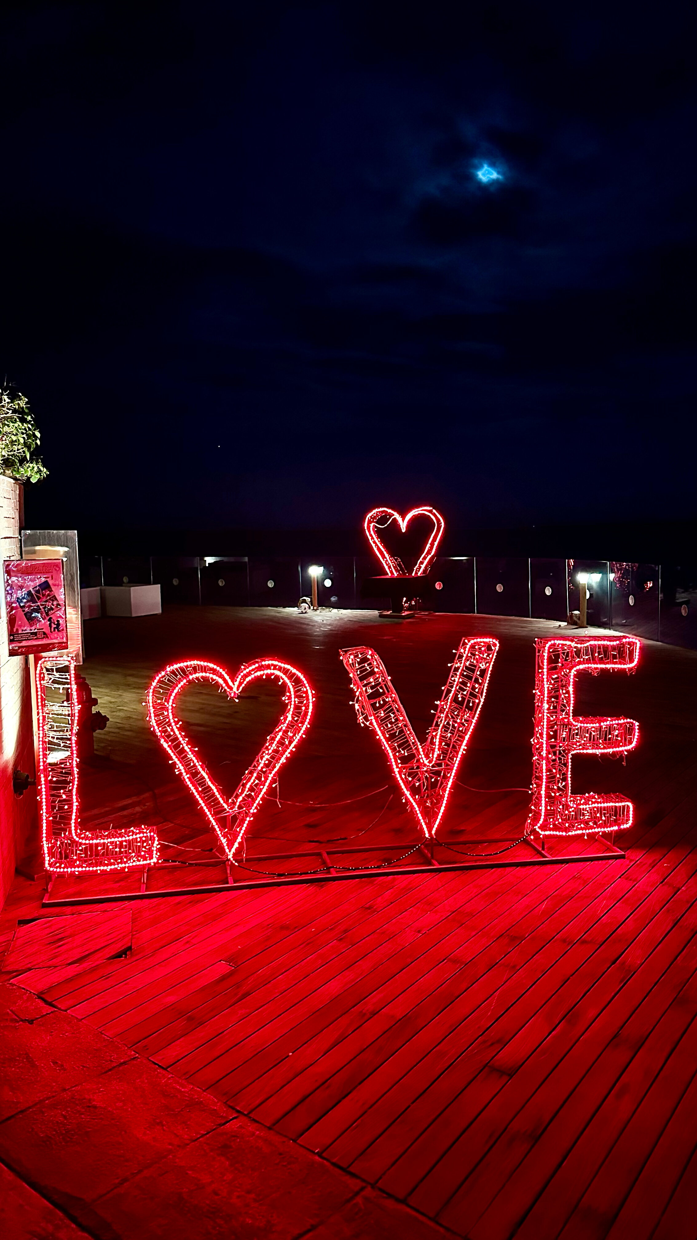 Фото Cleopatra Luxury Resort Sharm- Adults Only