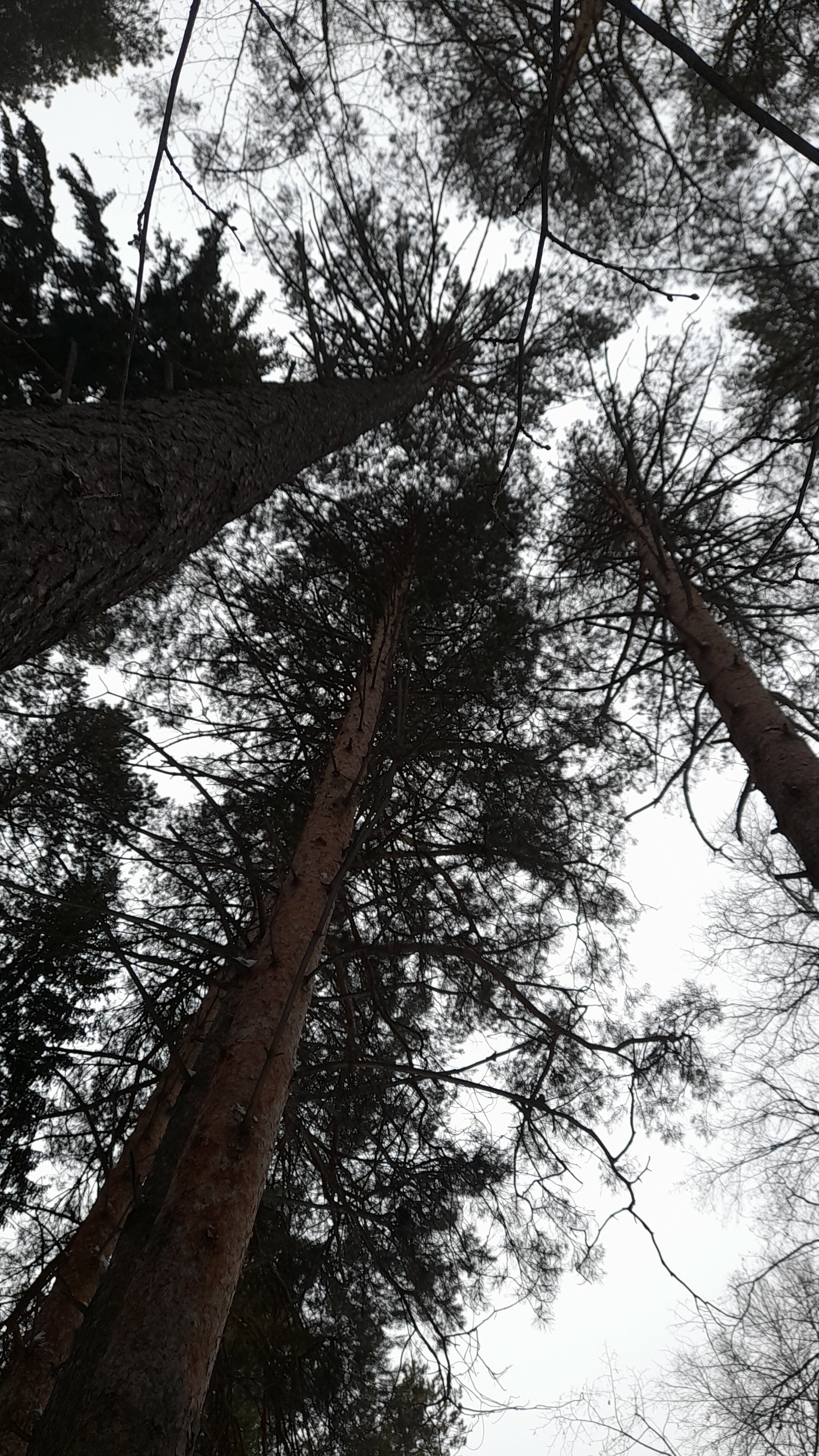 Фото Подгородный