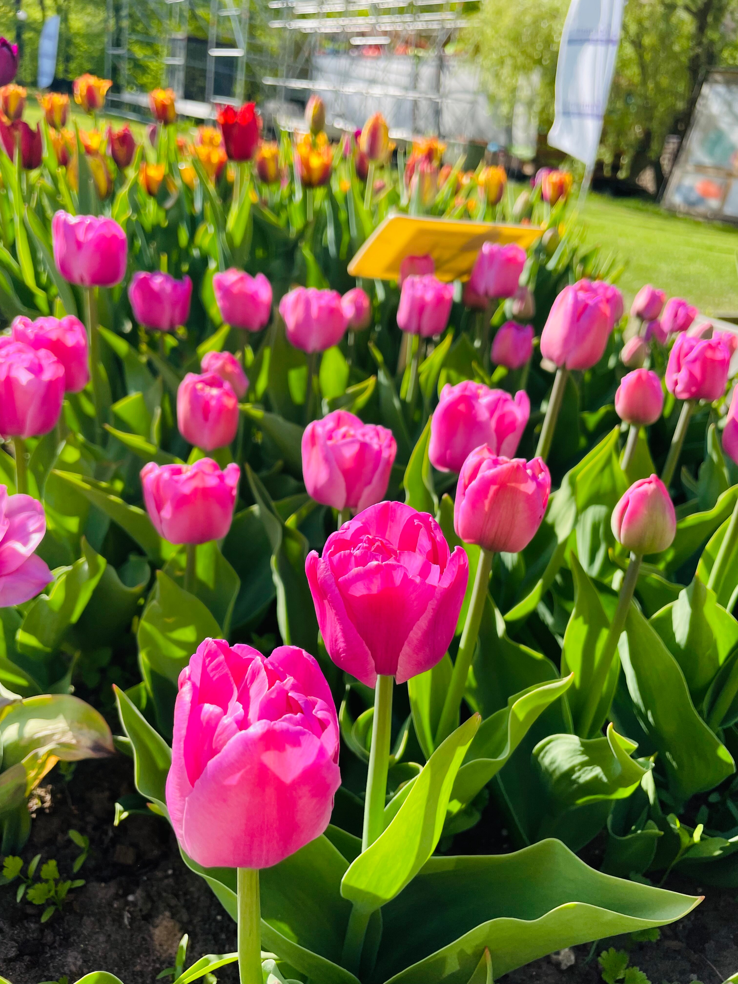 Фото Garden Embassy