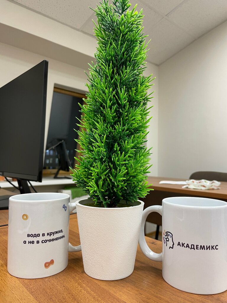 Tutoring Академикс, Voronezh, photo