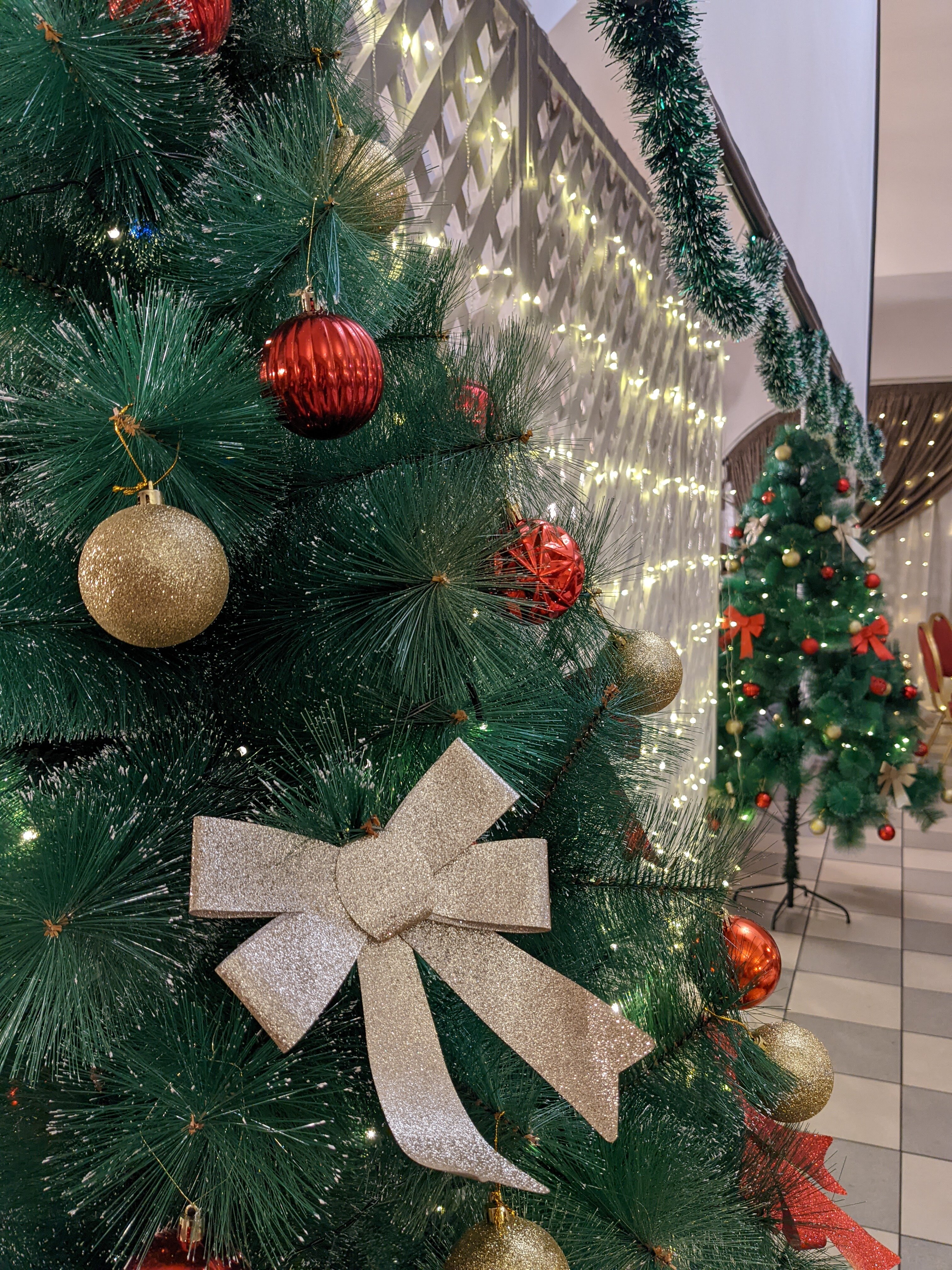 Фото Соколиха