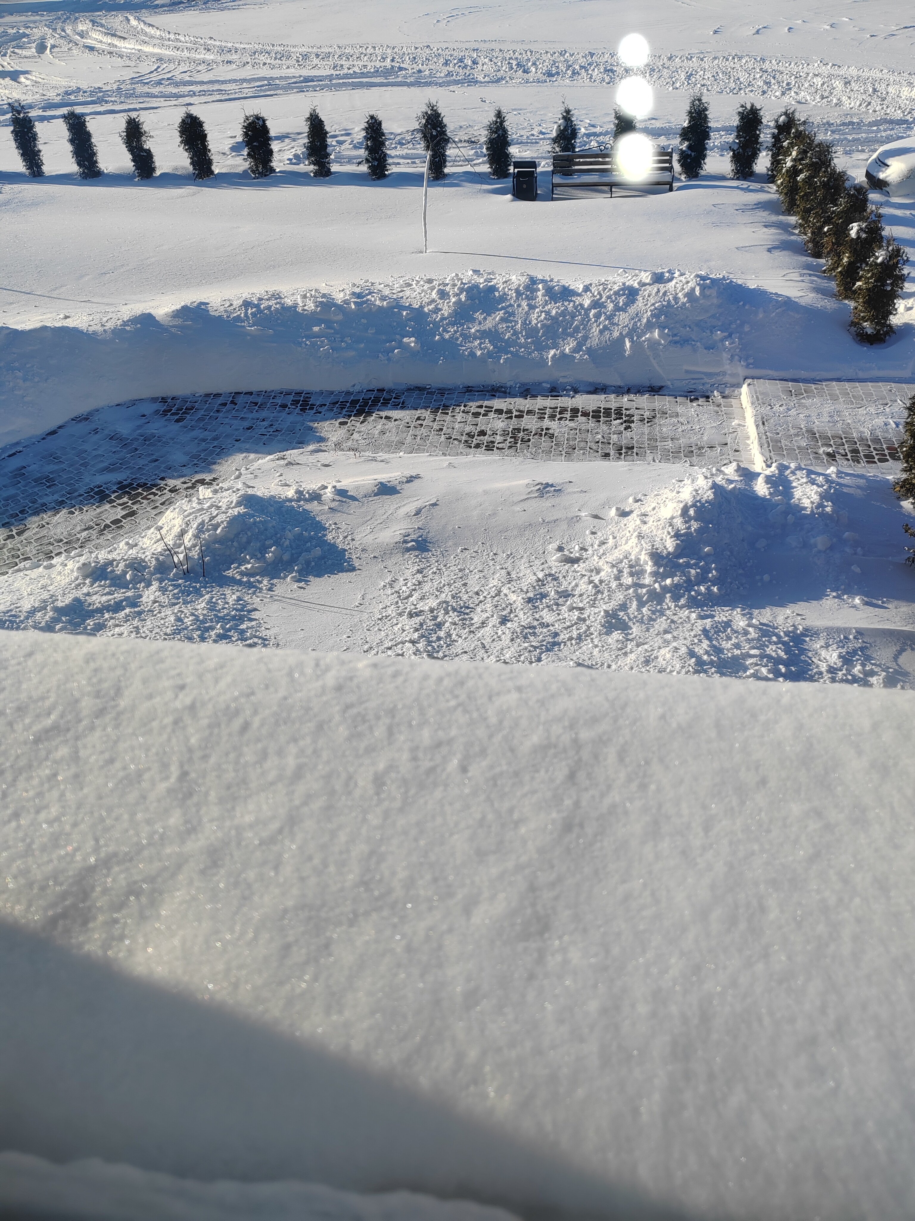 Фото Иволга