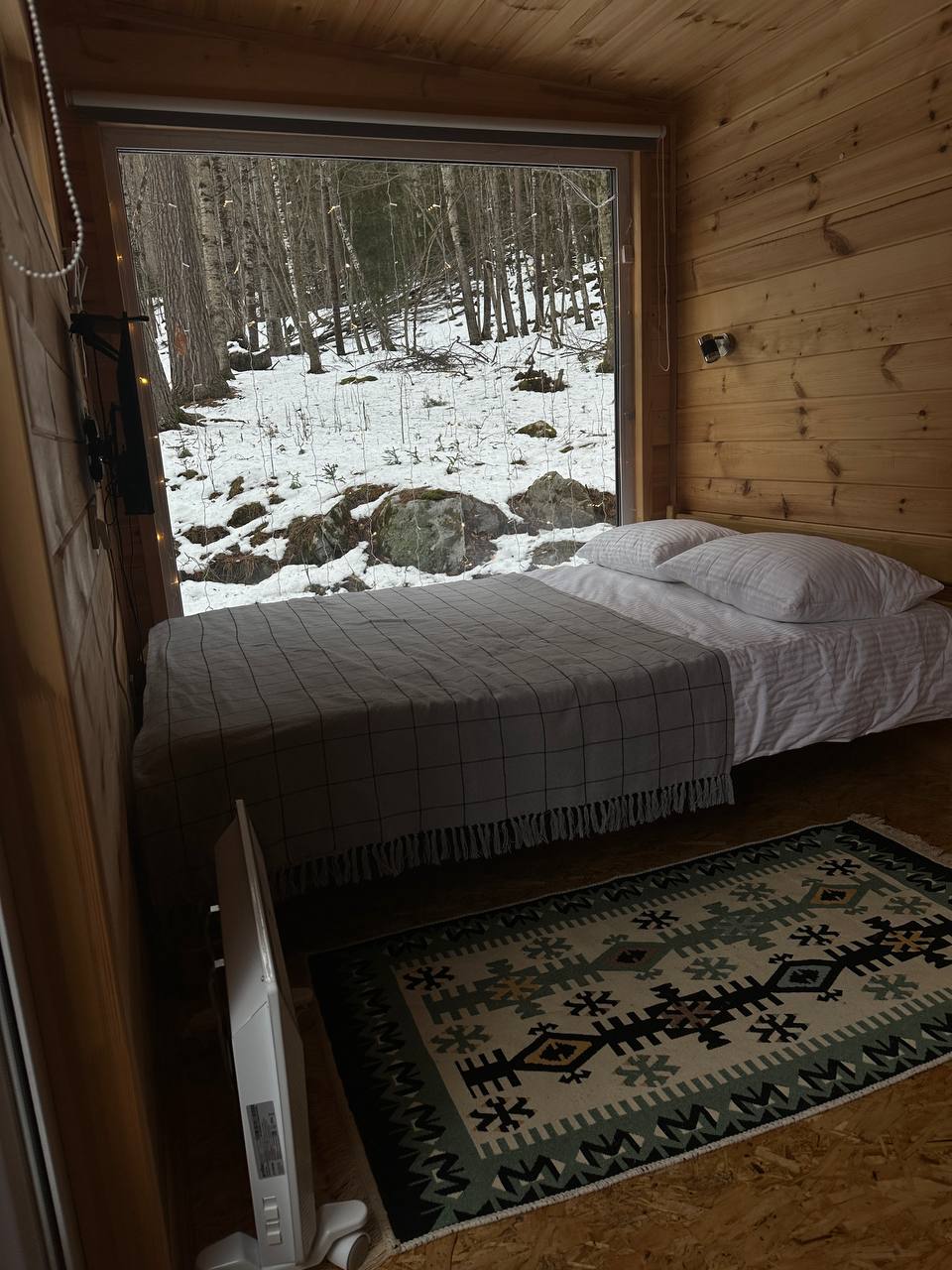 Фото Шелест