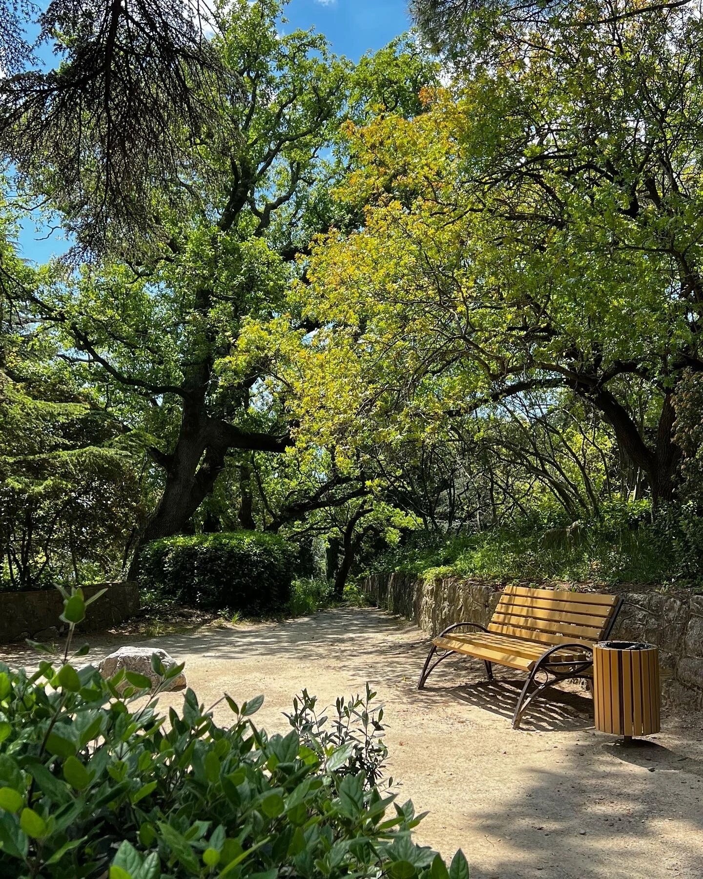 Фото Коктейль